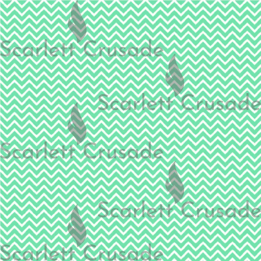 Zig Zag Auqa.jpg