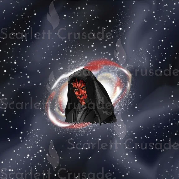 sw16.jpg