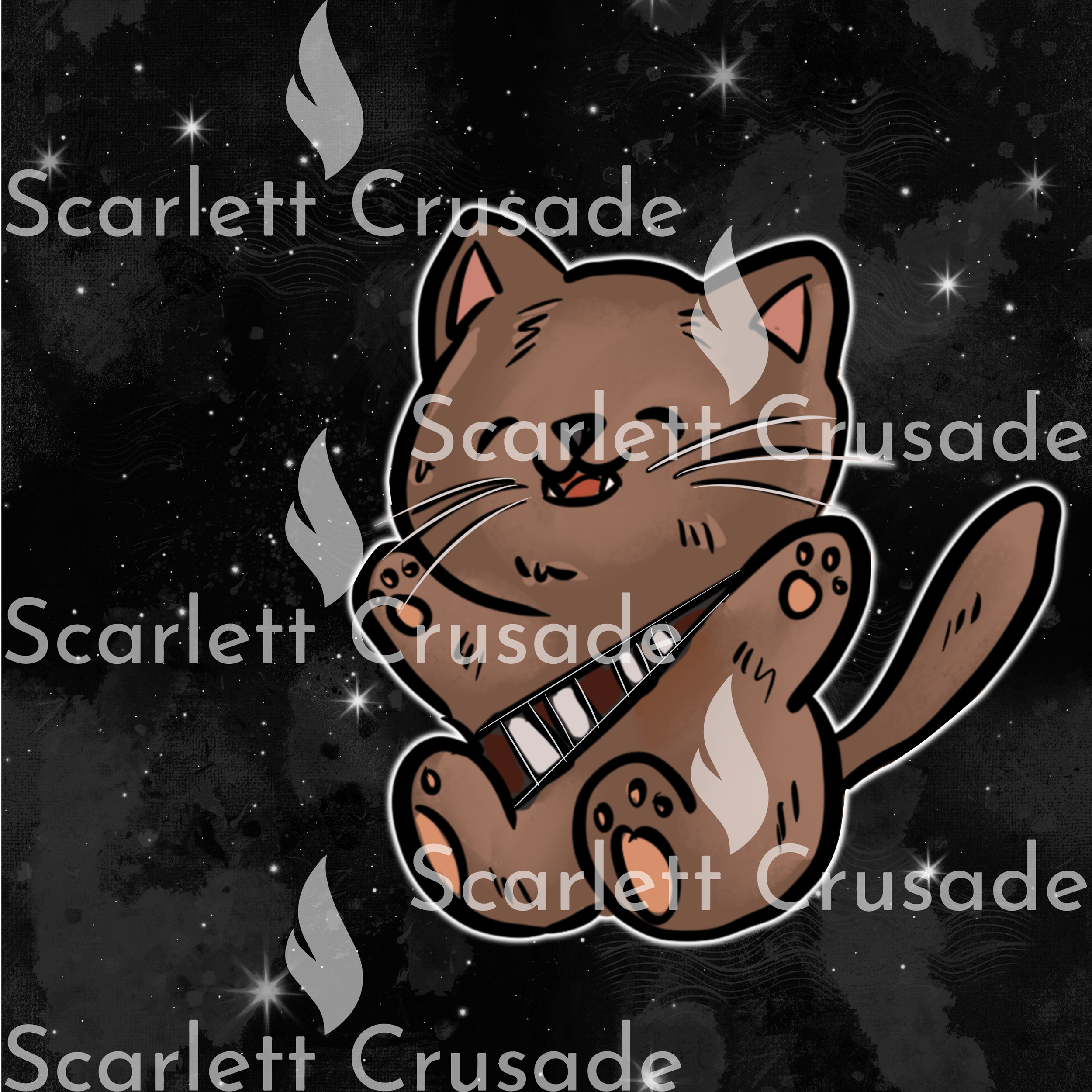 catss_39.png