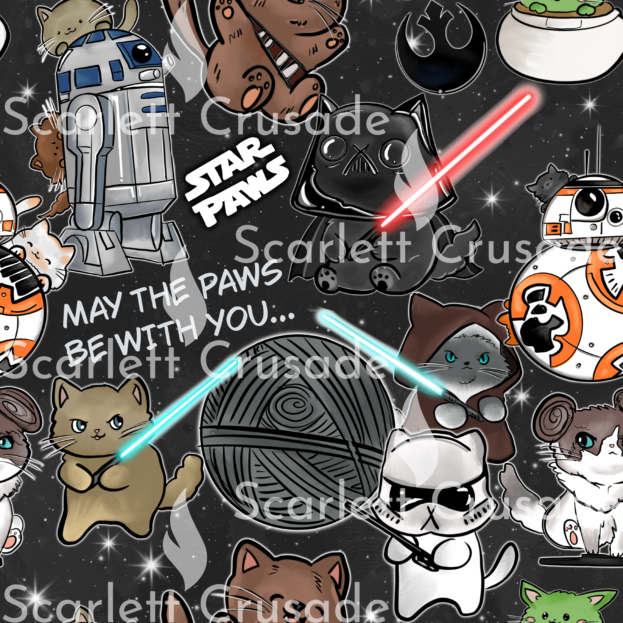 catss_28.png