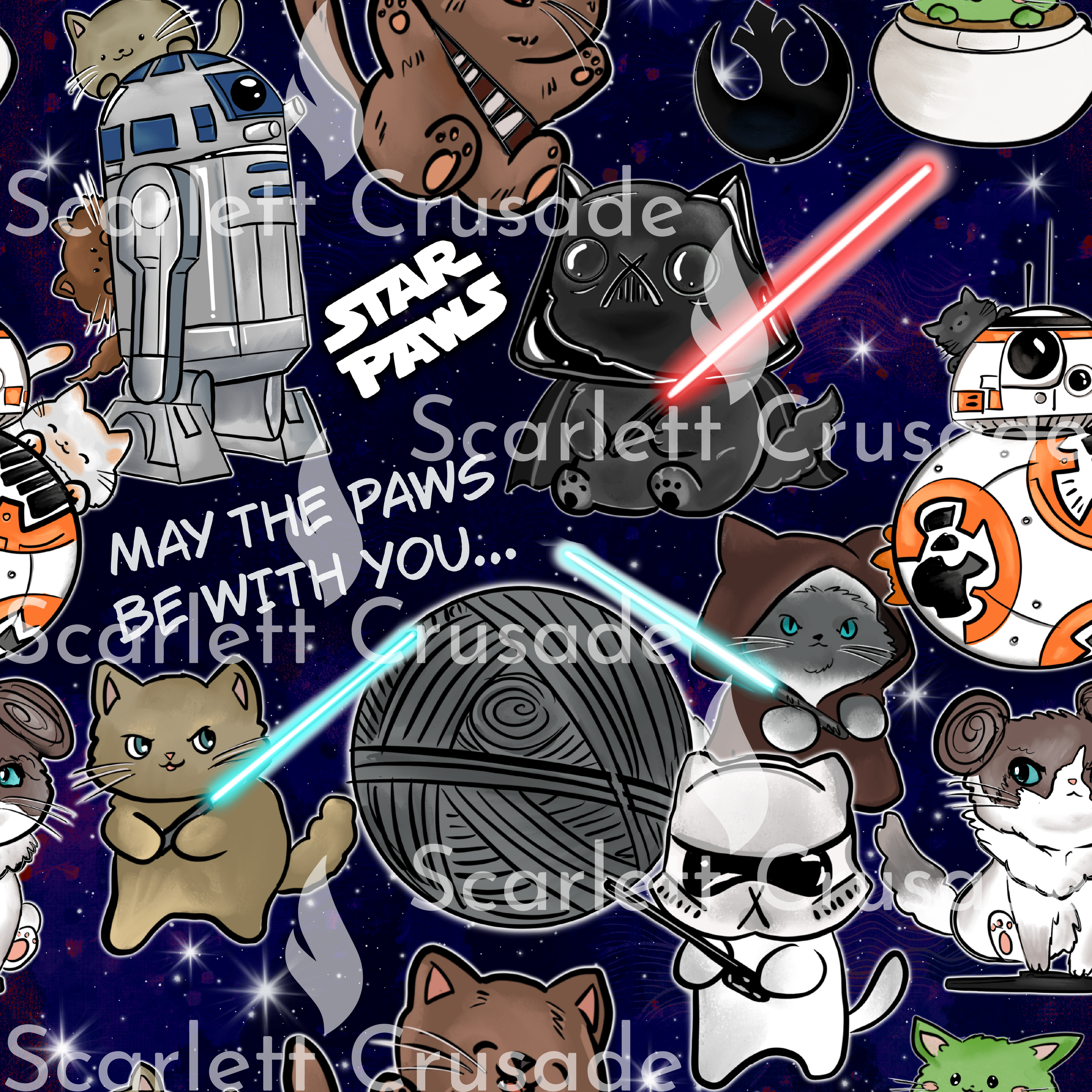 catss_26.png