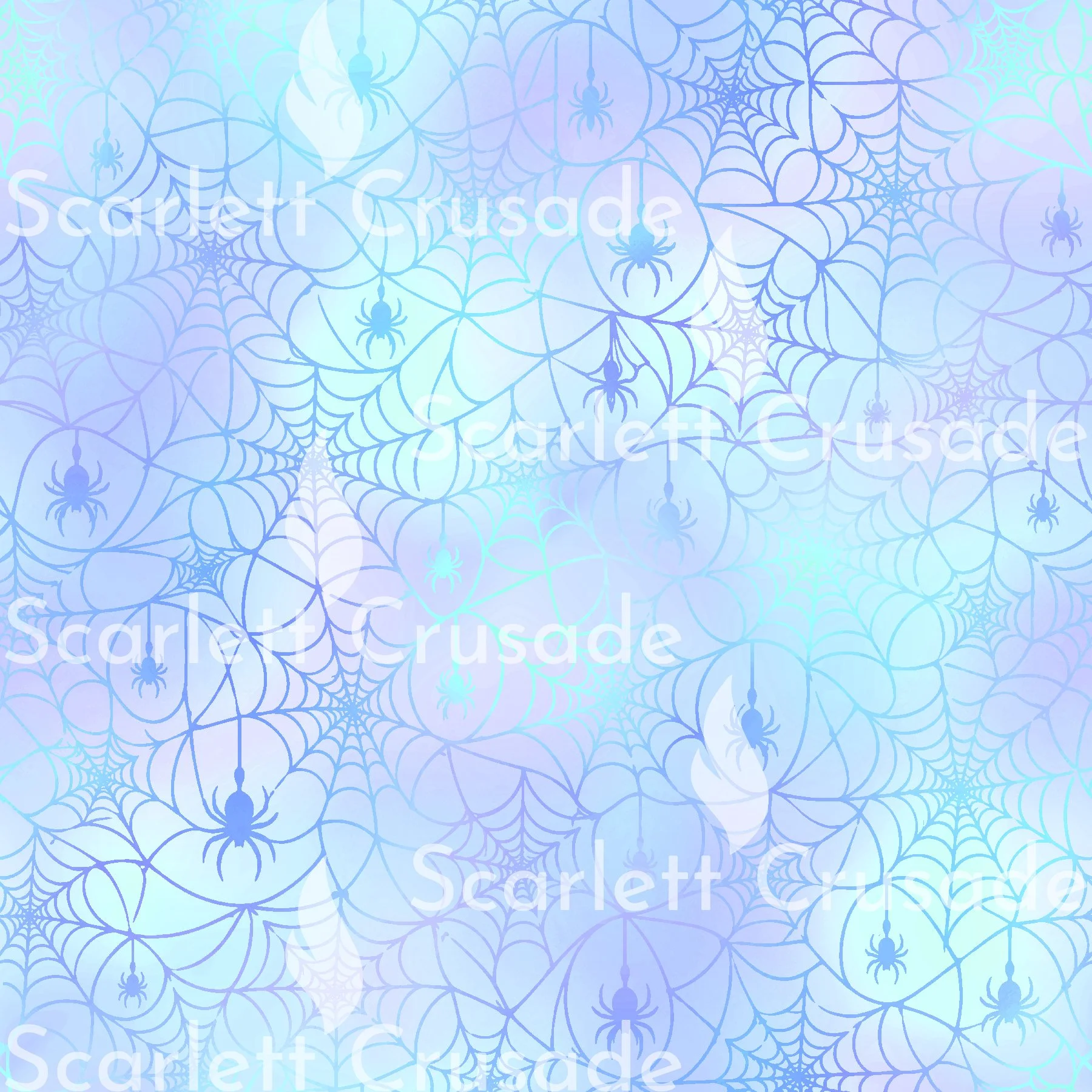 spider_18.jpg