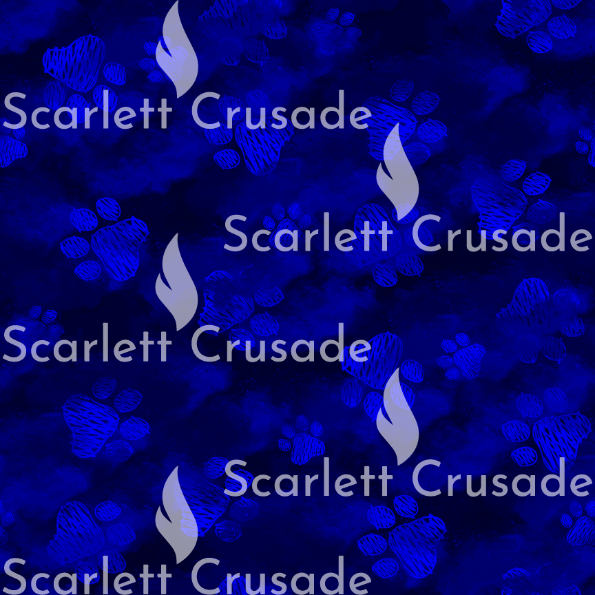 bluey_15.png
