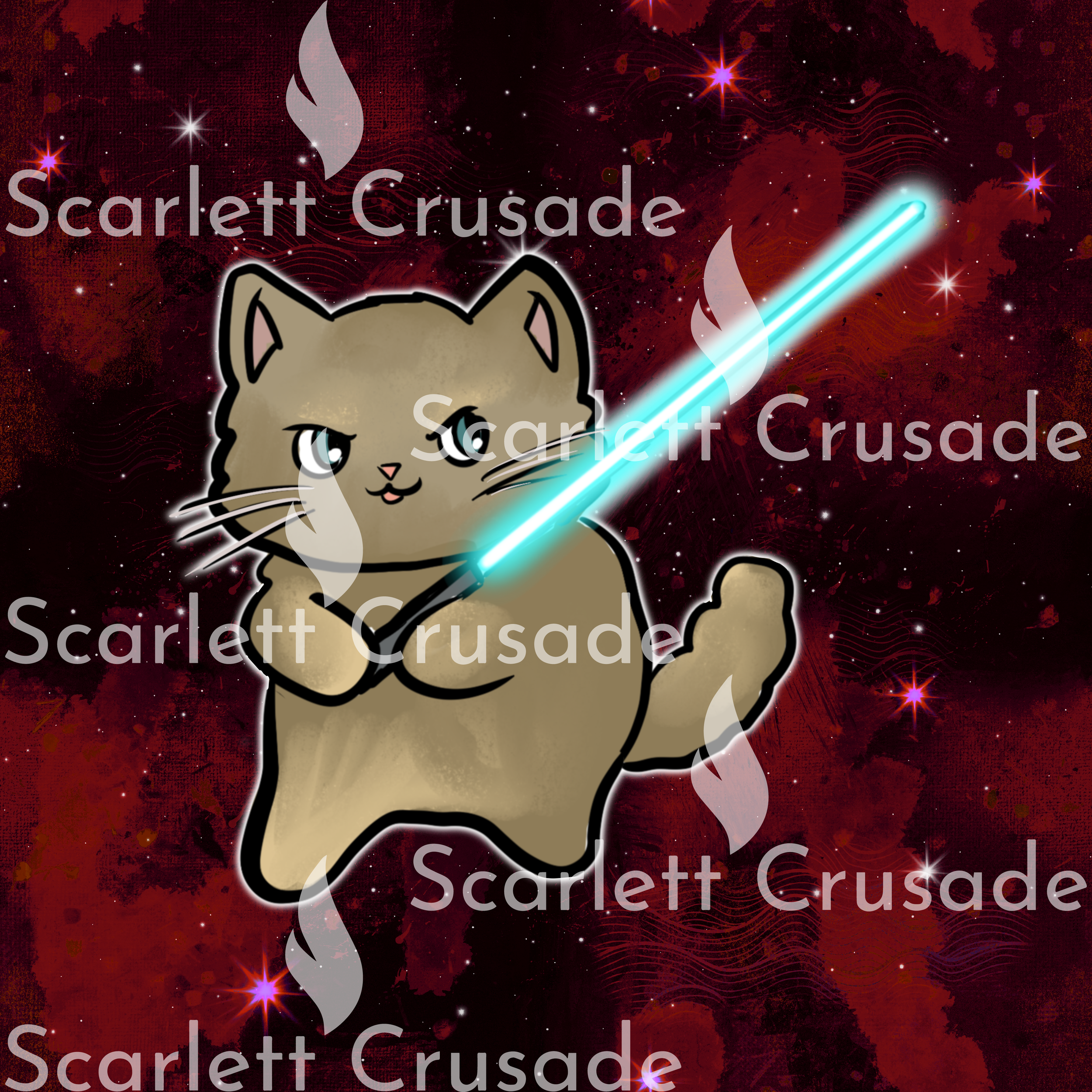 catss_42.png