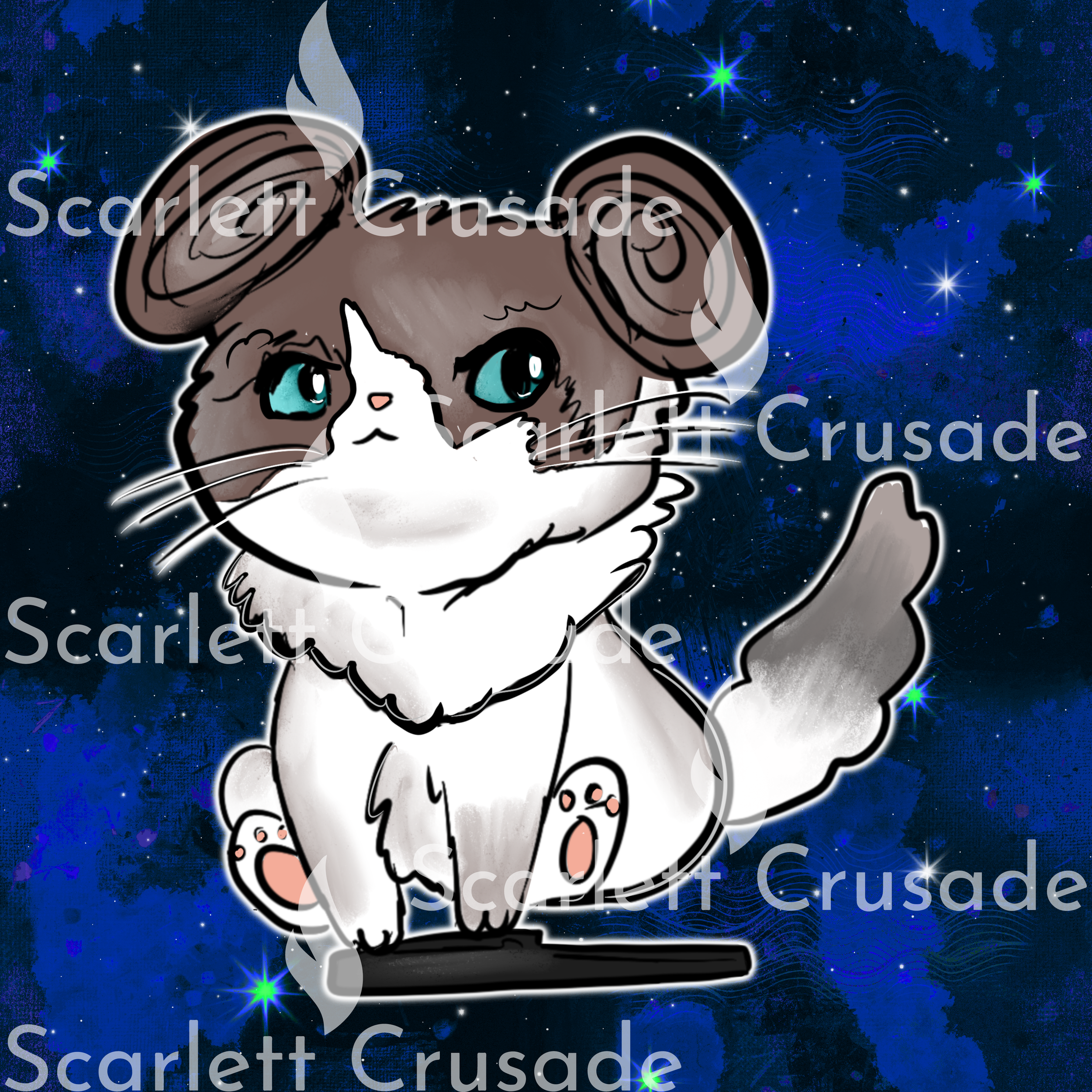 catss_41.png