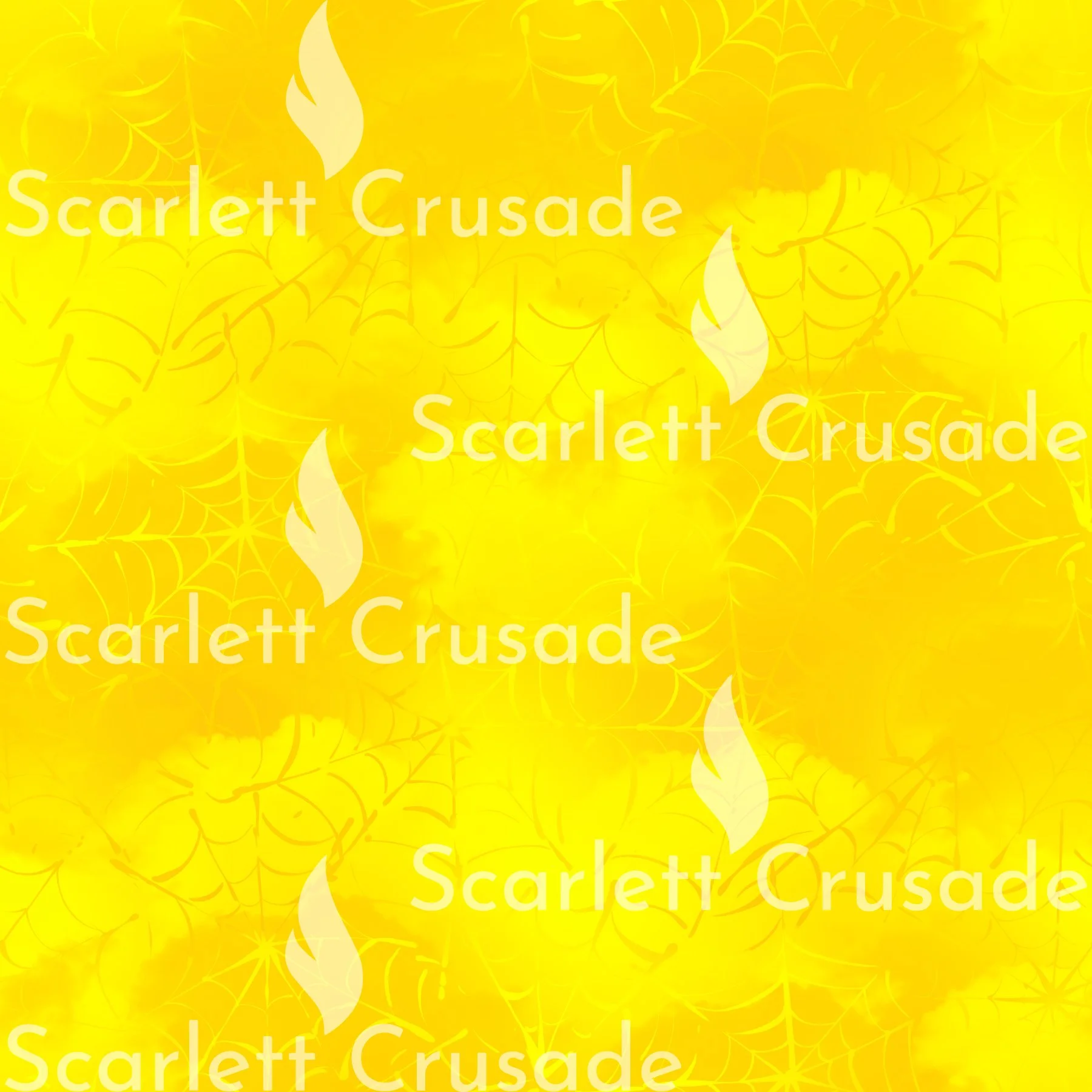 spider_22.jpg