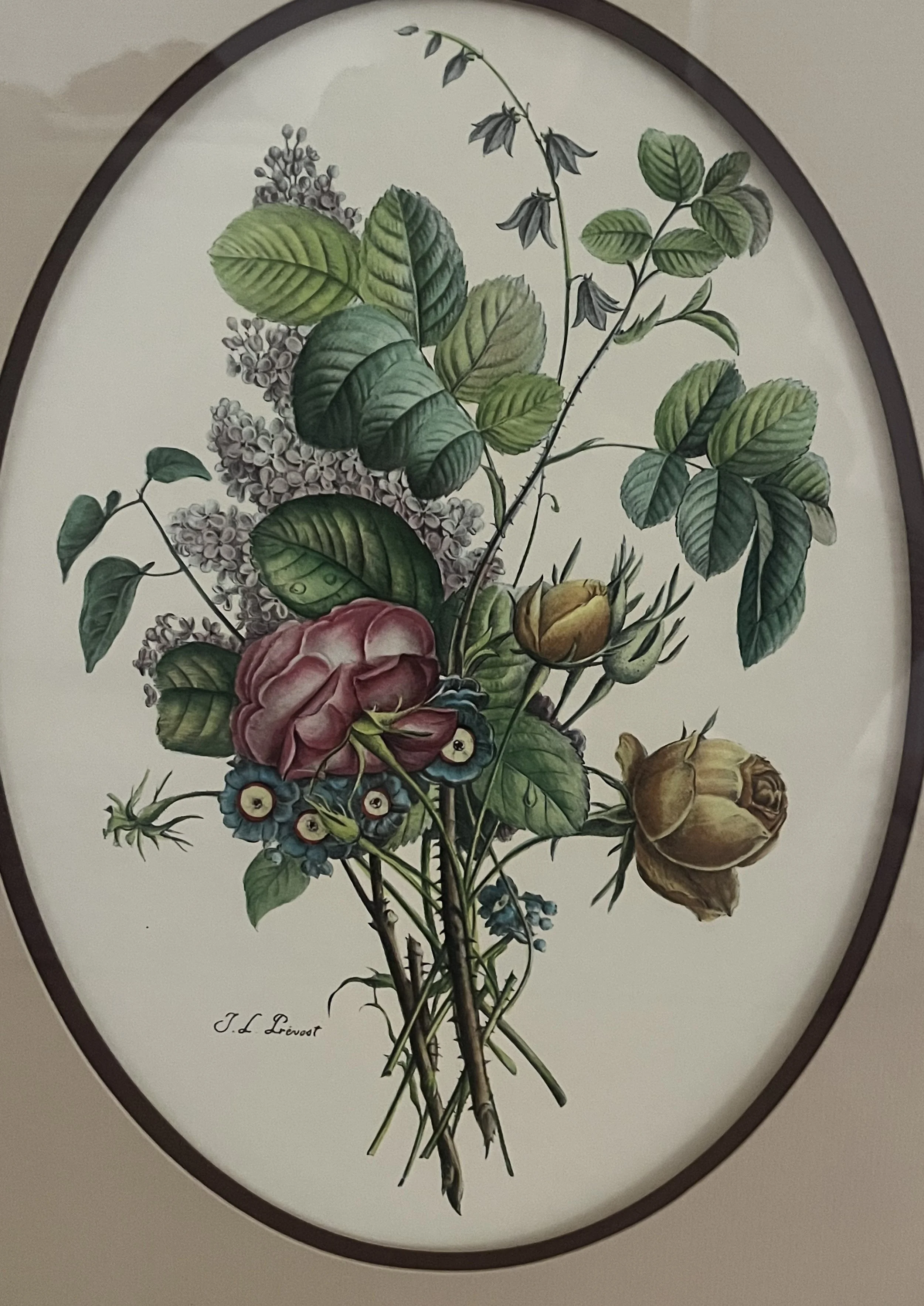 Floral Hydrangeous Print2.jpeg