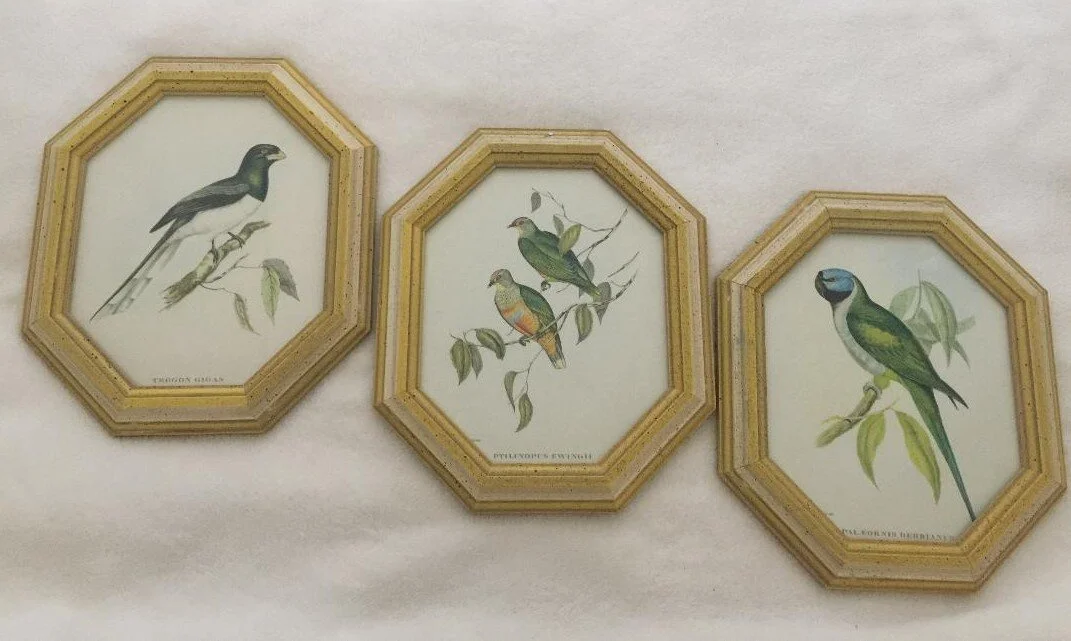 Bird Picture Set 3 Vintage 7.jpg
