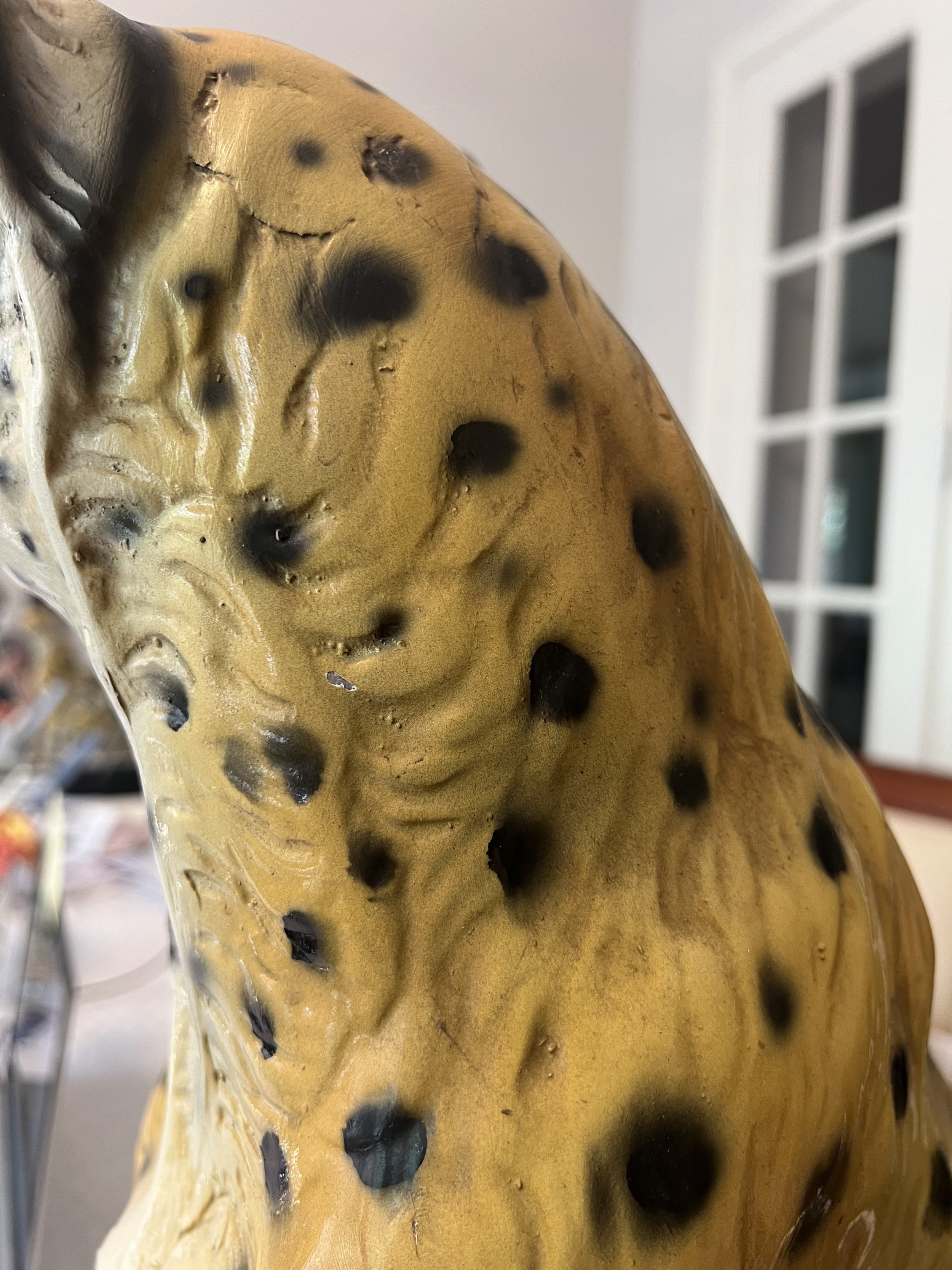 Cheetah8.jpg