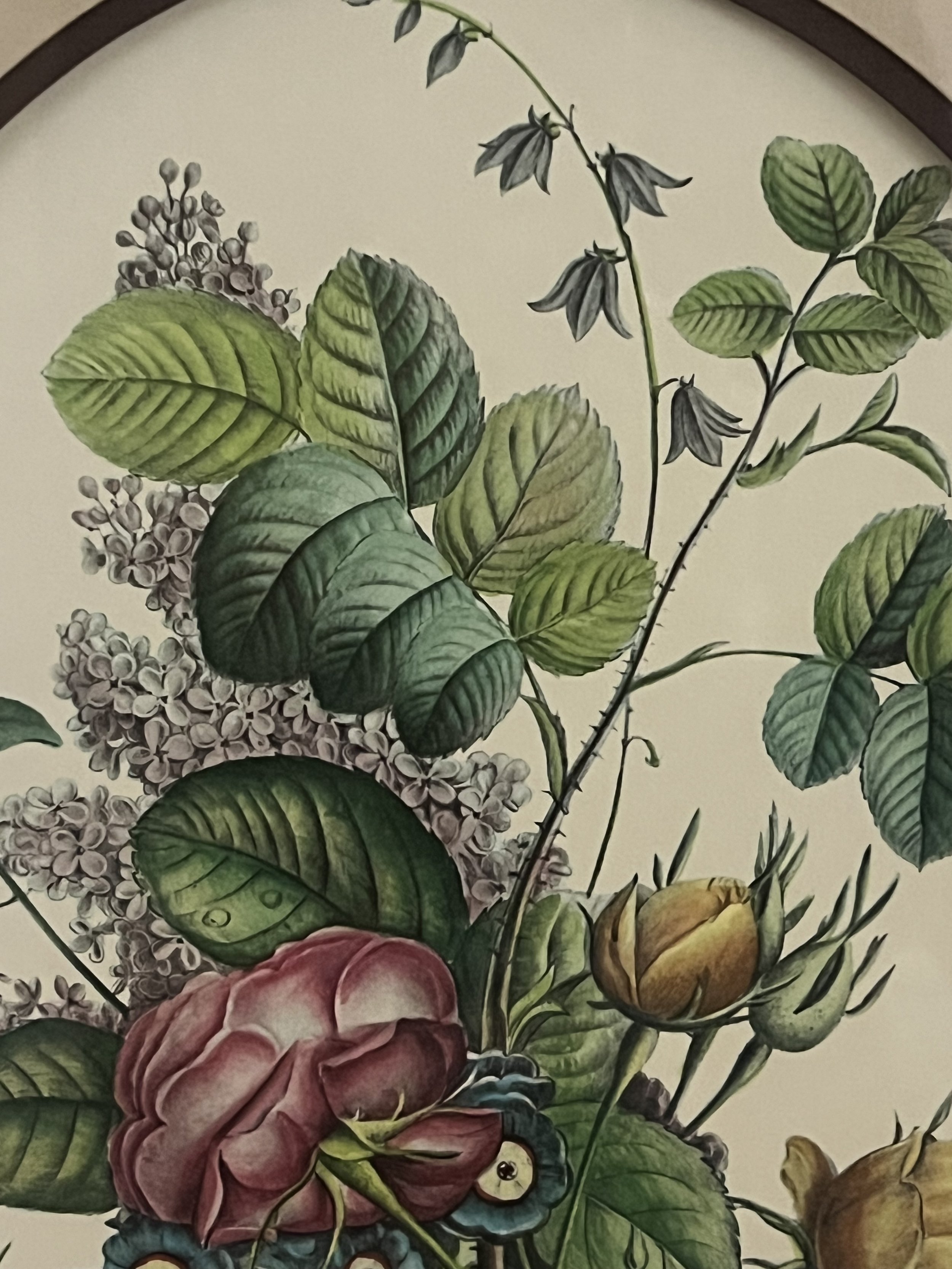 Floral Hydrangeous Print3.jpeg