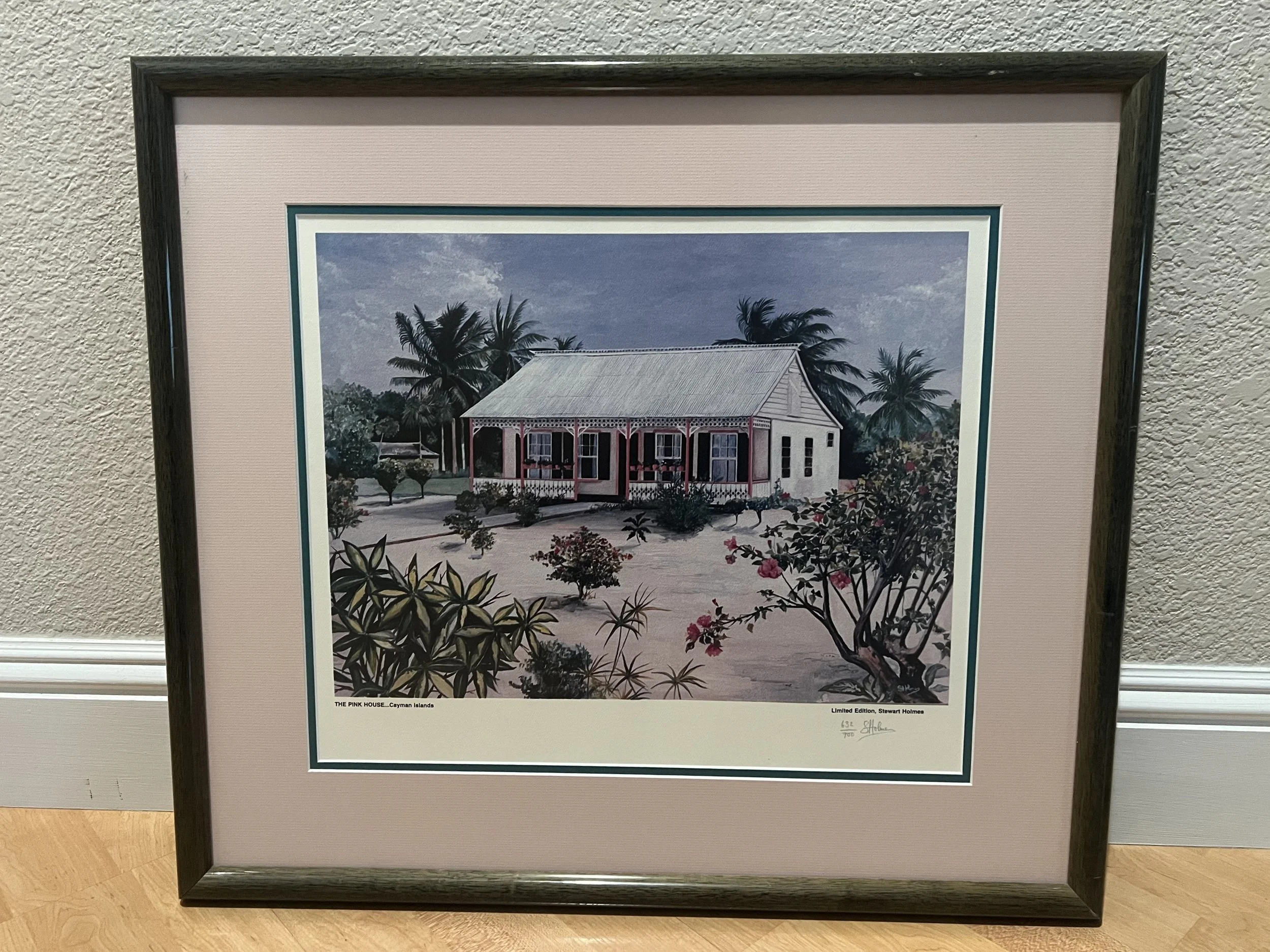 The Pink House Lithograph1.jpeg