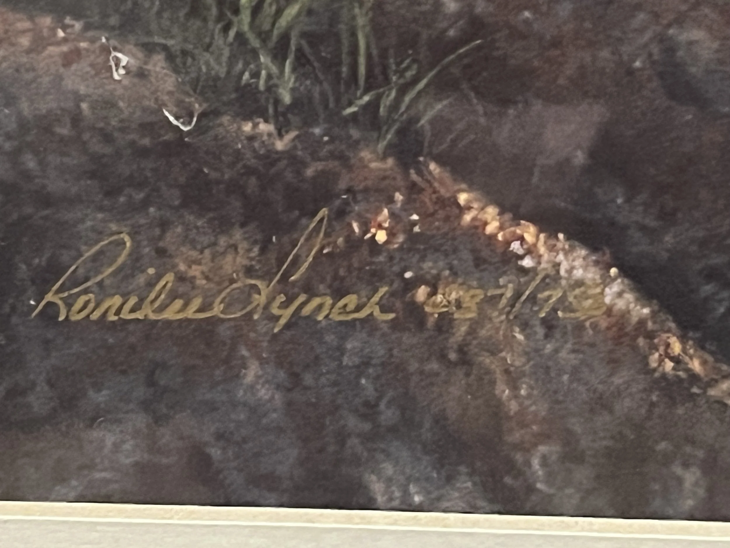 3 Bird Print Puffins6.jpeg