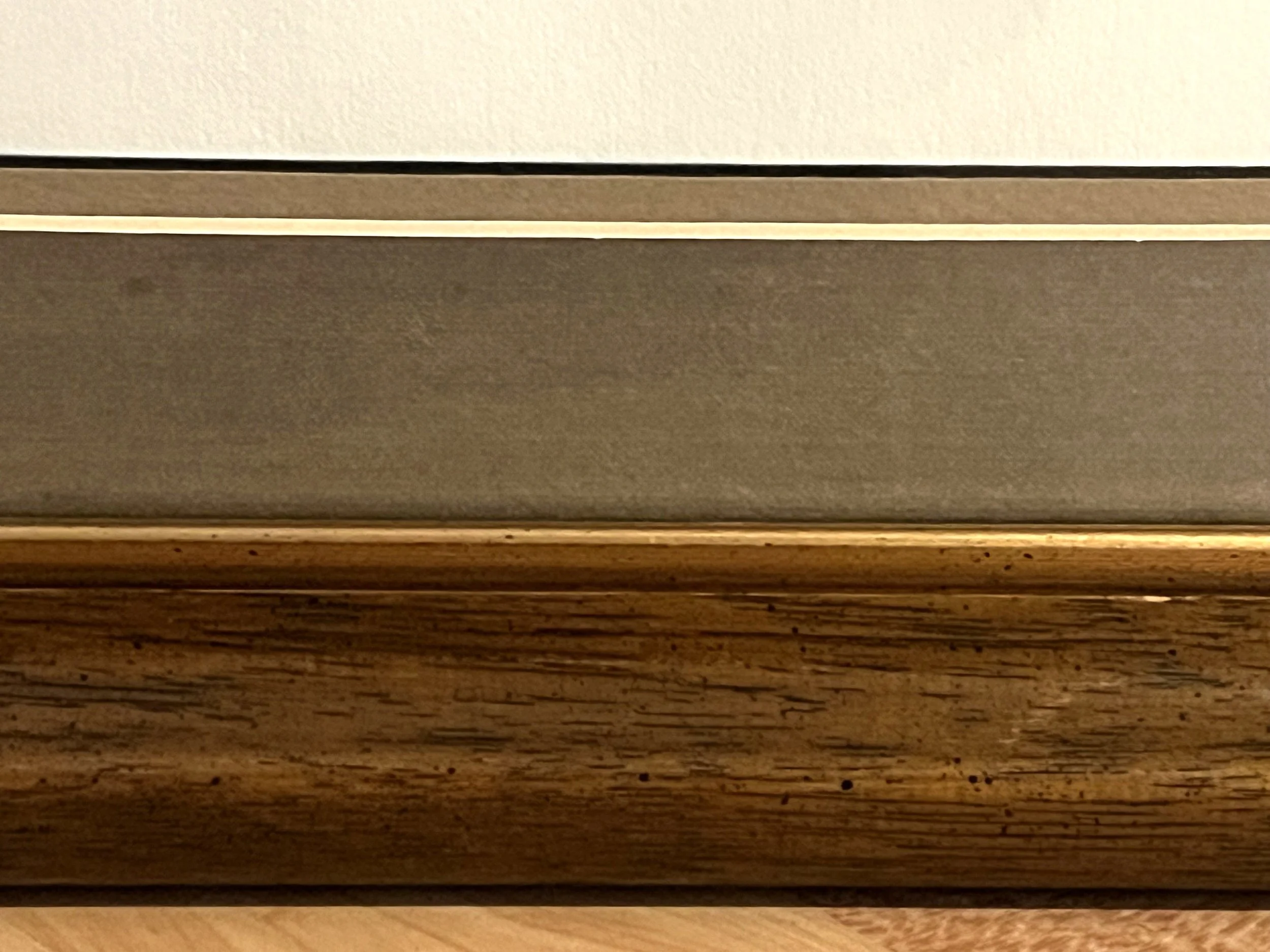 Sandpiper Water Color5.jpeg