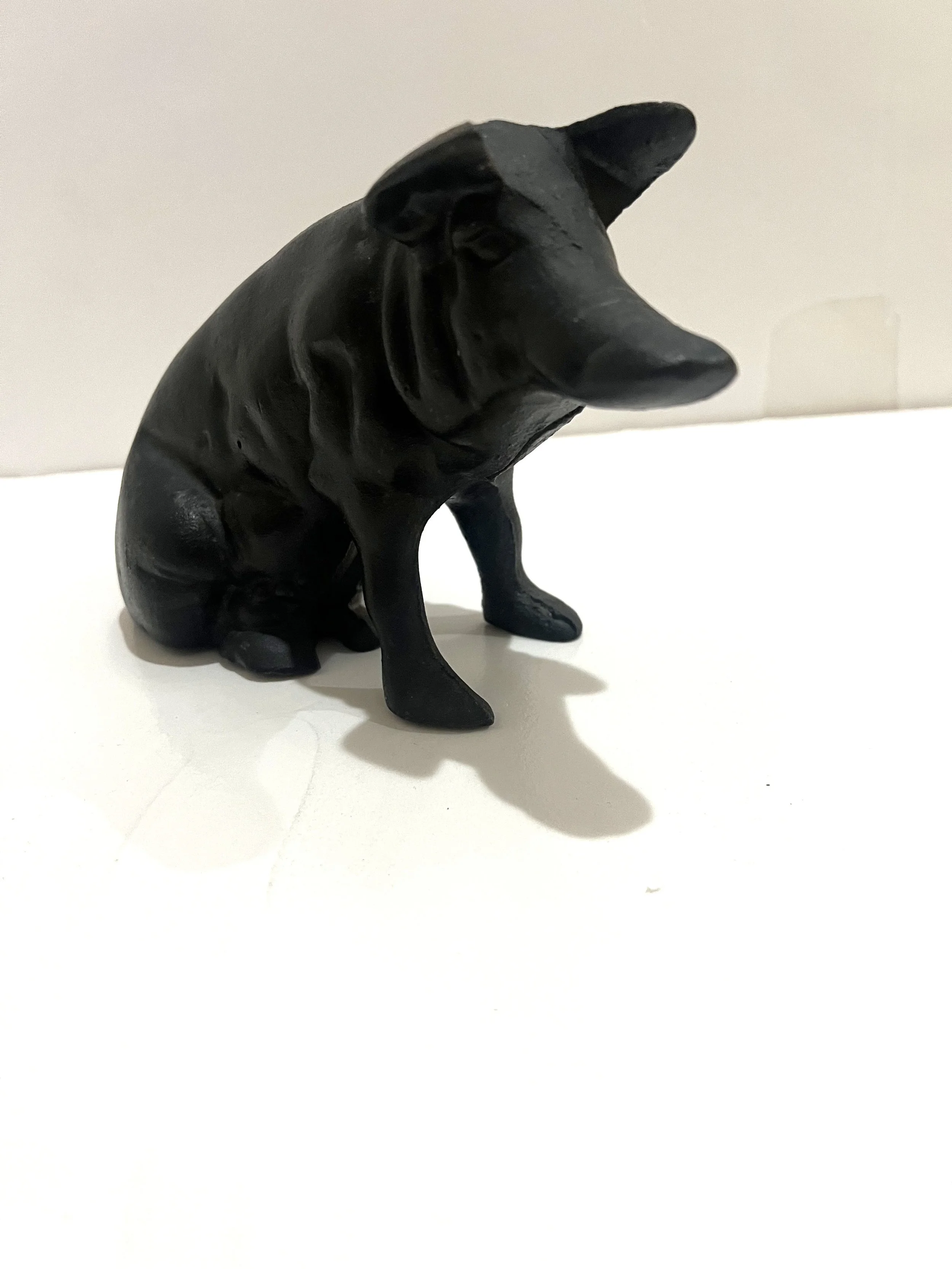 Caste Iron Piggy5.jpeg