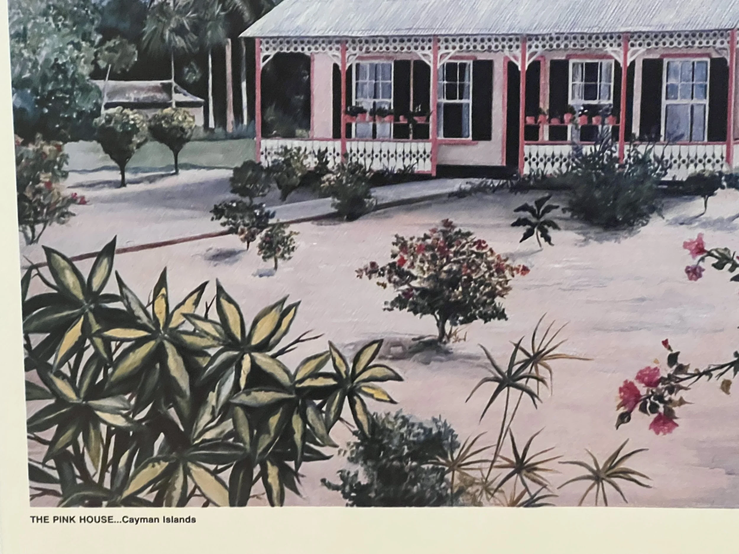 The Pink House Lithograph5.jpeg