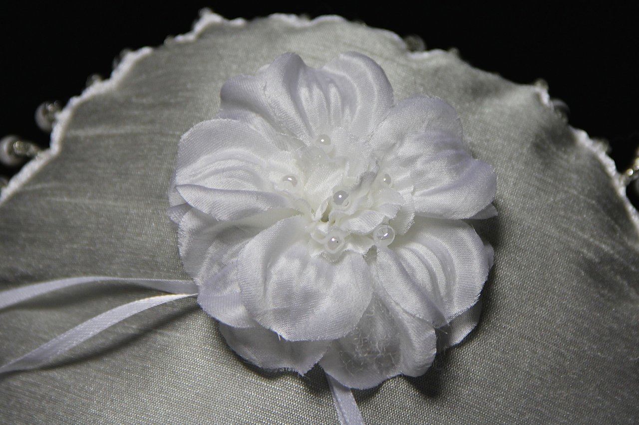 Platnium Bride 2.jpg