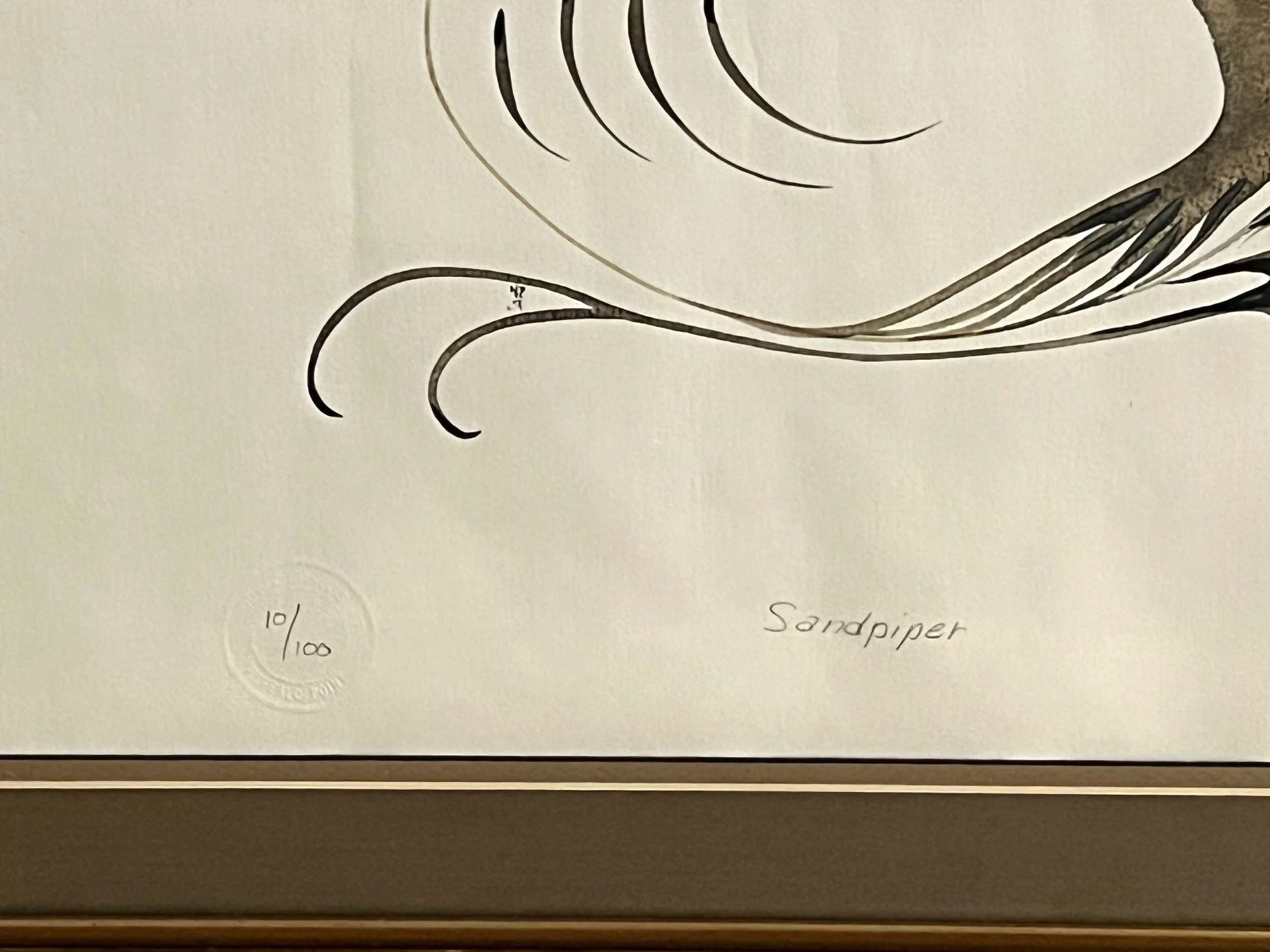 Sandpiper Water Color4.jpeg