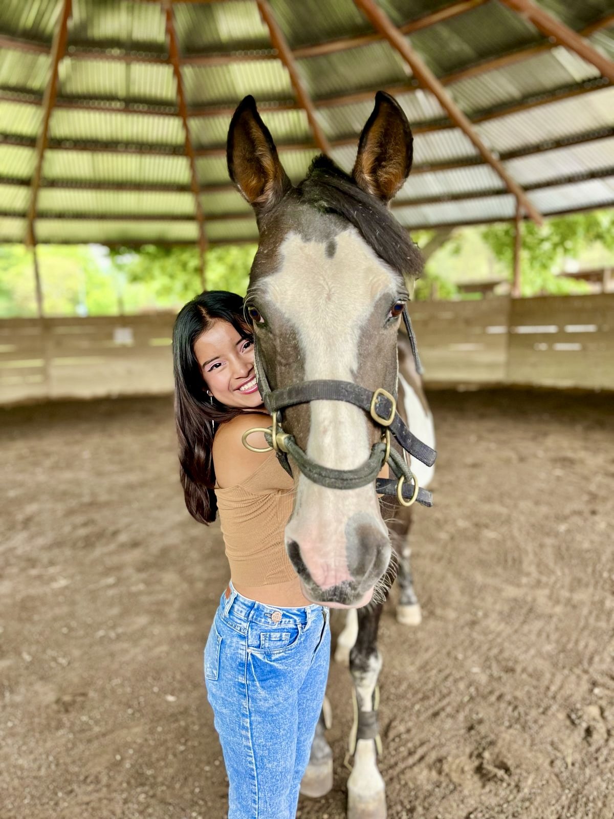 Taller Conexión Profunda - 4 horas