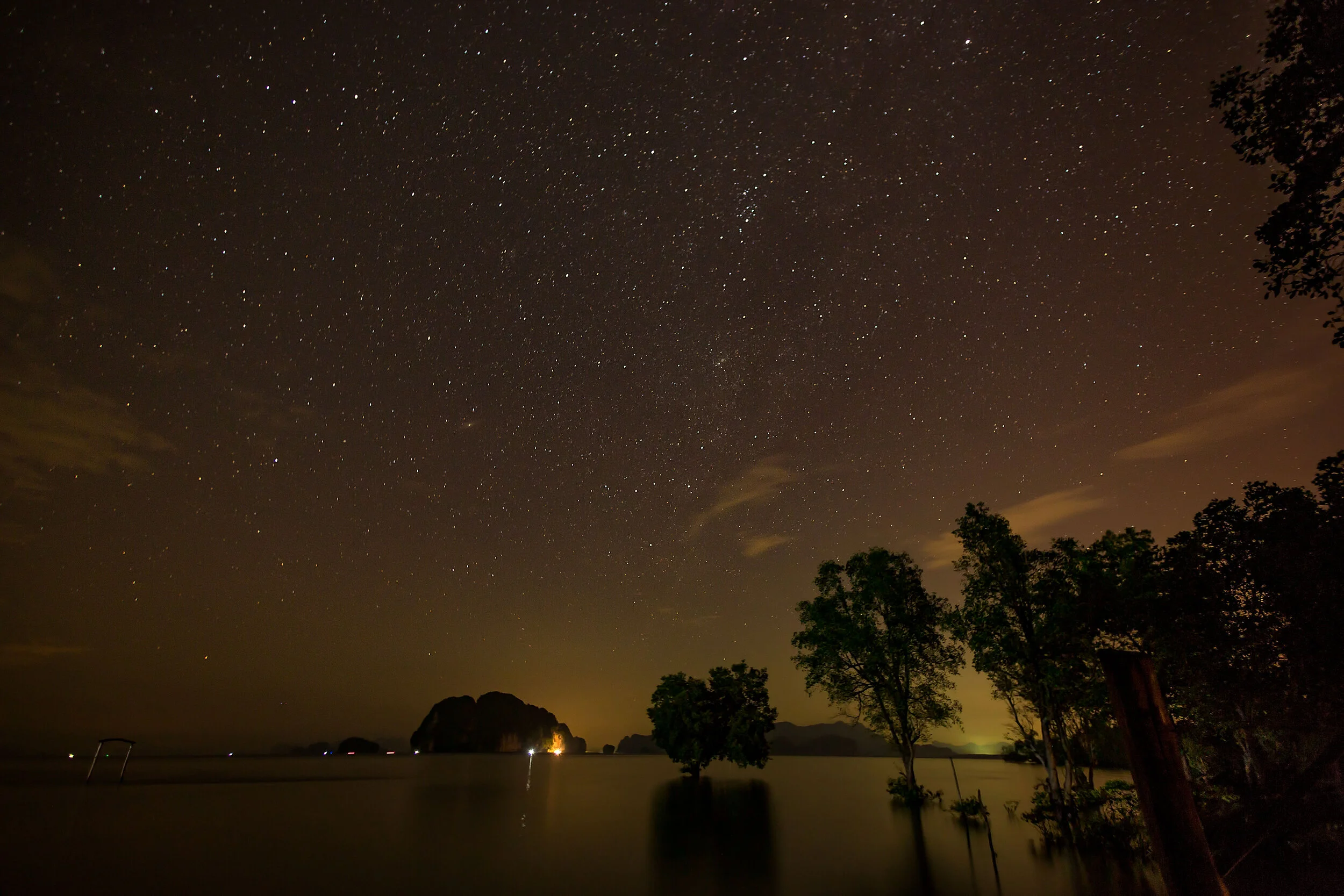 Night Light.jpg