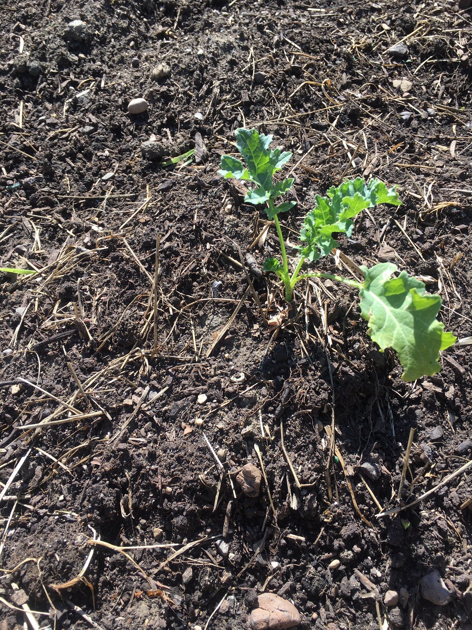 Death &amp; Progress