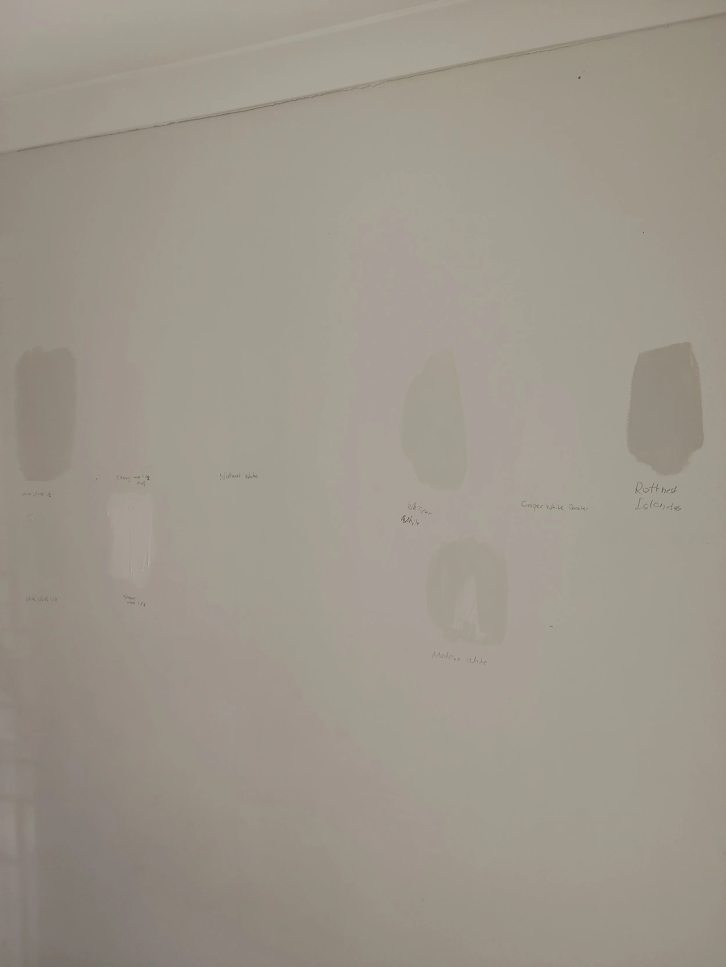 Choosing a white 3.jpg