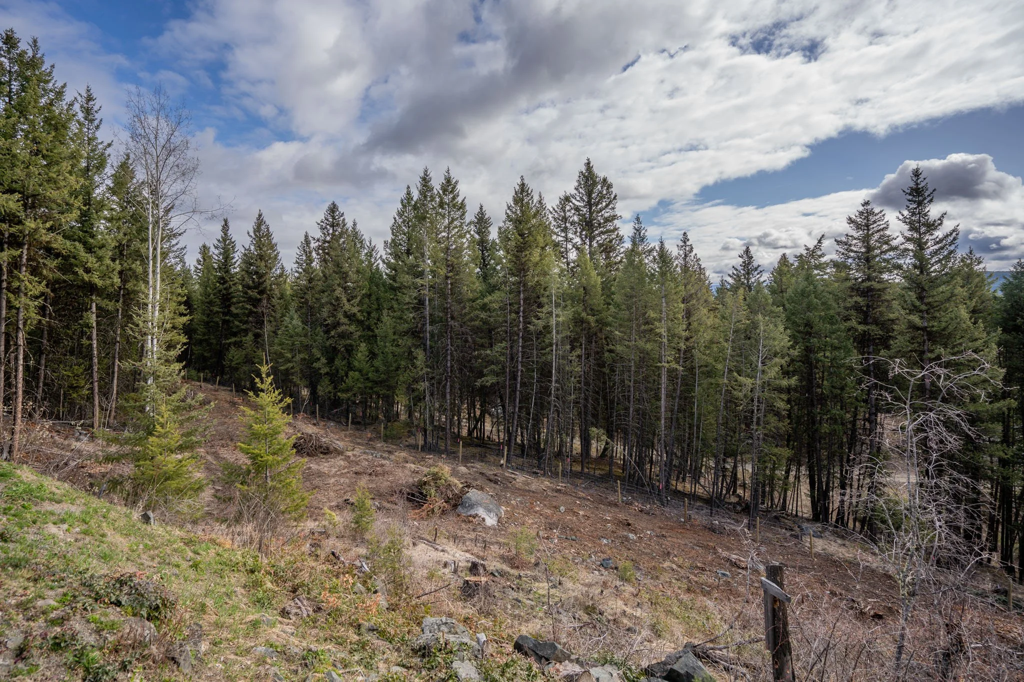 Sallee Duntin 100 Mile House Realtor - 6326 SPURAWAY DRIVE-9.jpg