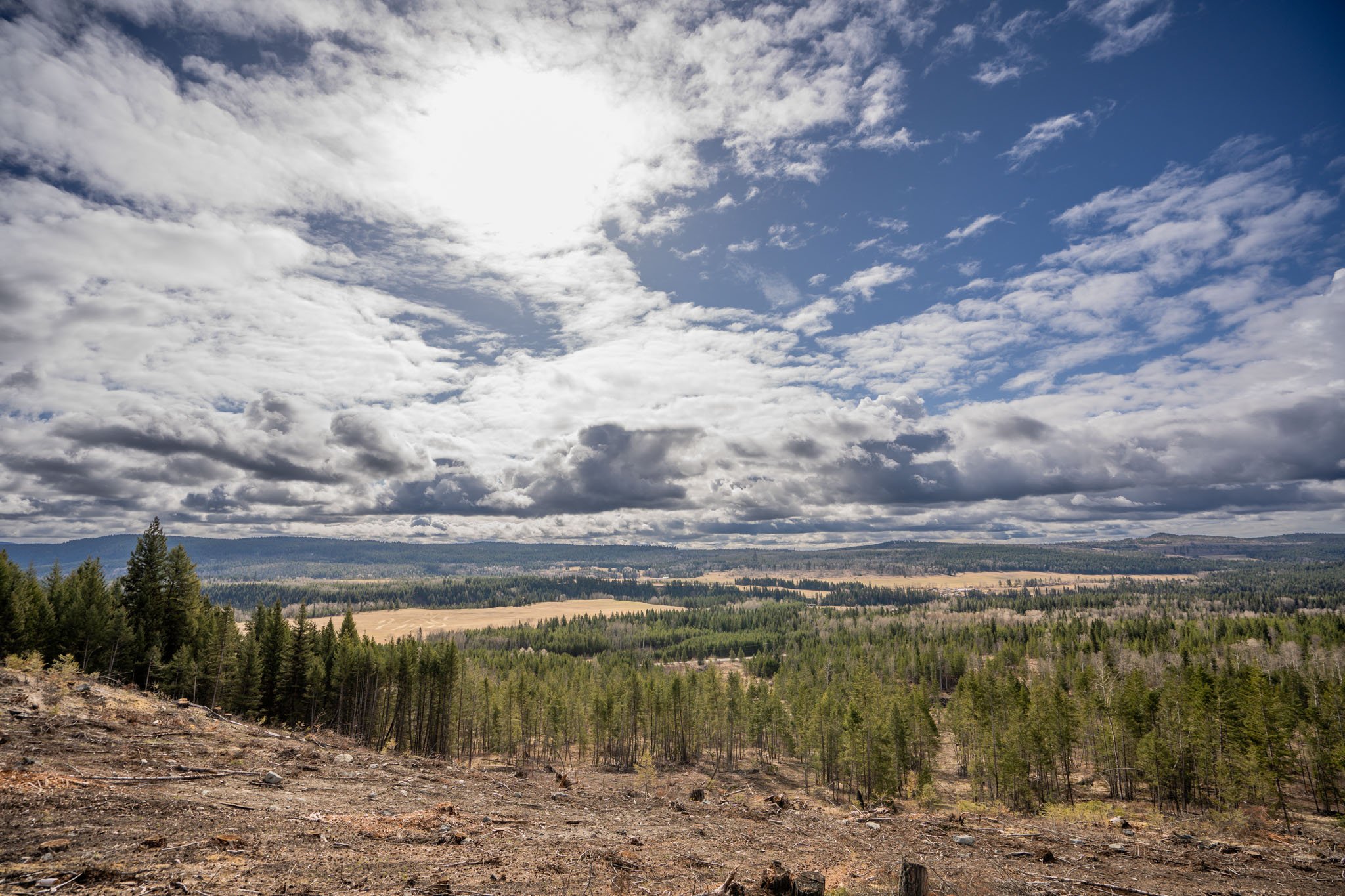 Sallee Duntin 100 Mile House Realtor - 6326 SPURAWAY DRIVE-16.jpg