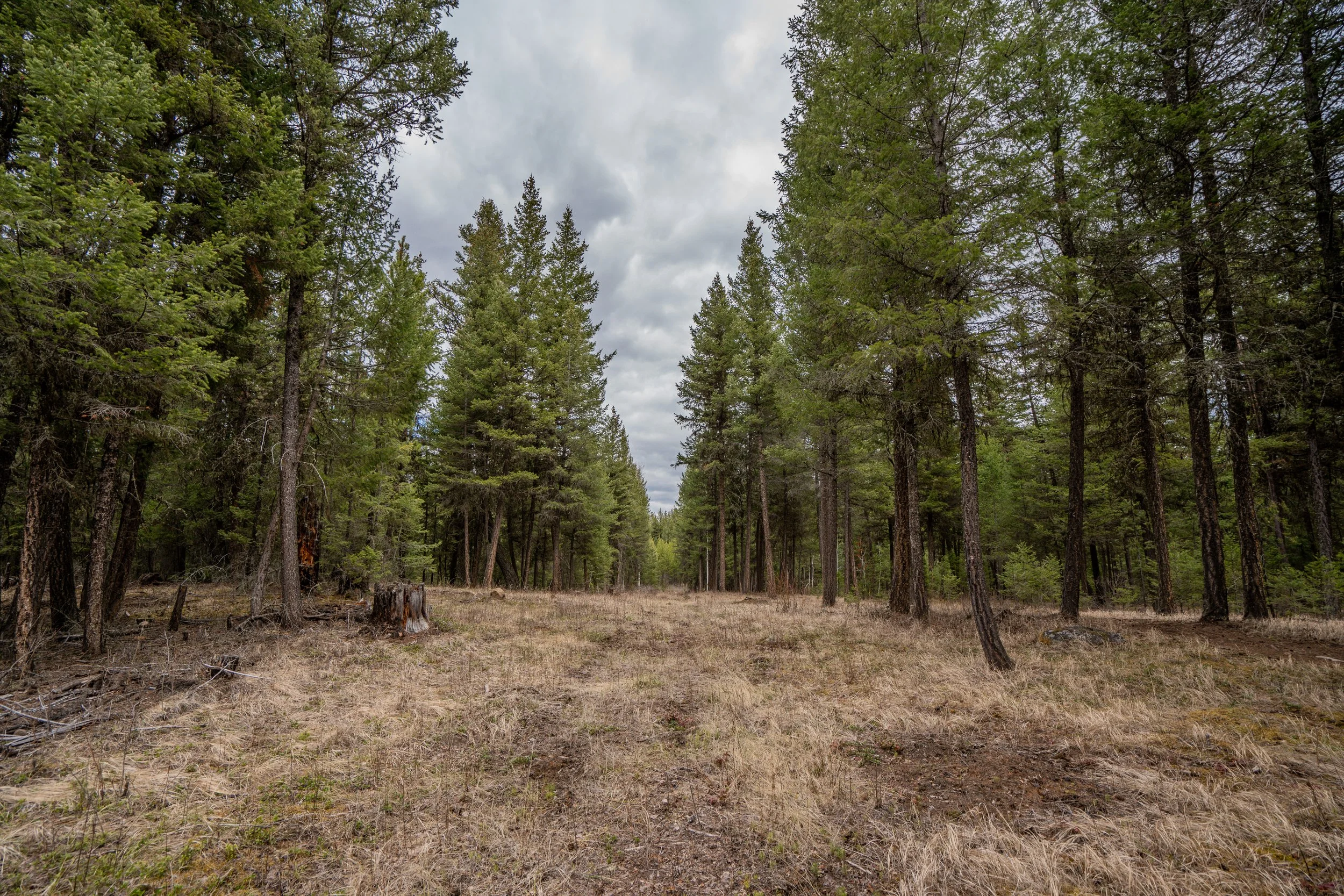 LOT 6 PARK PLACE: $225,000
