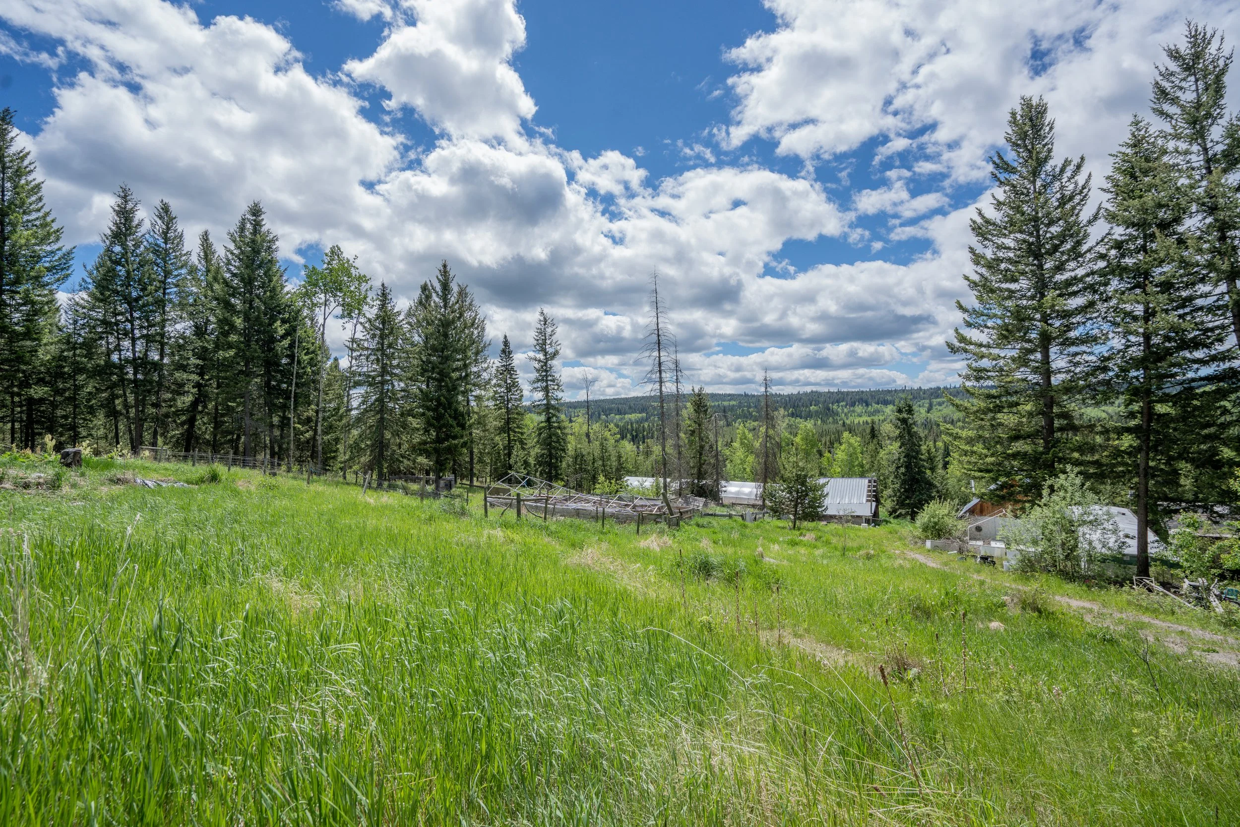6719 FAWN CREEK ROAD: $119,000