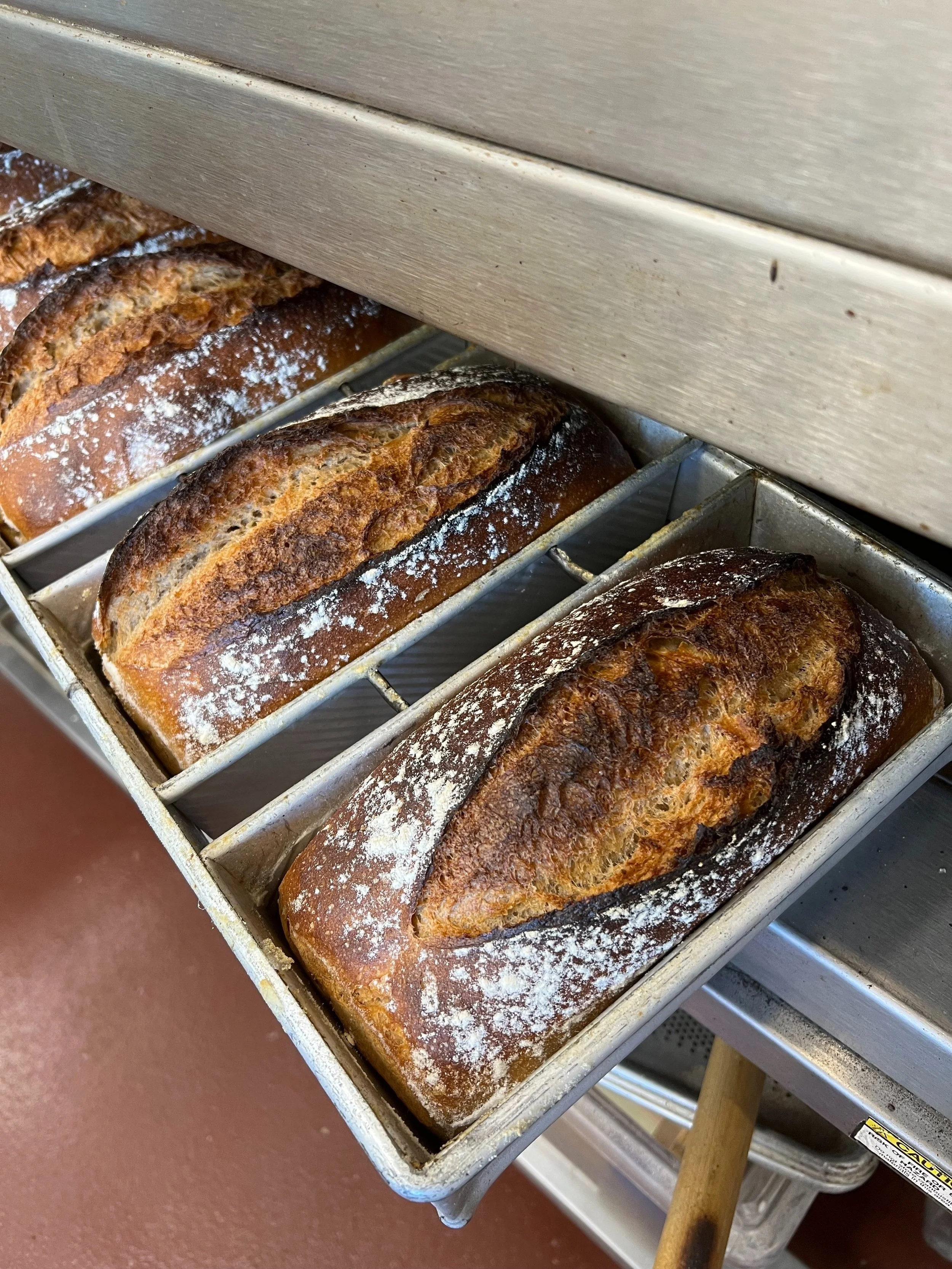 Tuesday Subscriptions &amp; Preorders at 478 Taylor Ave