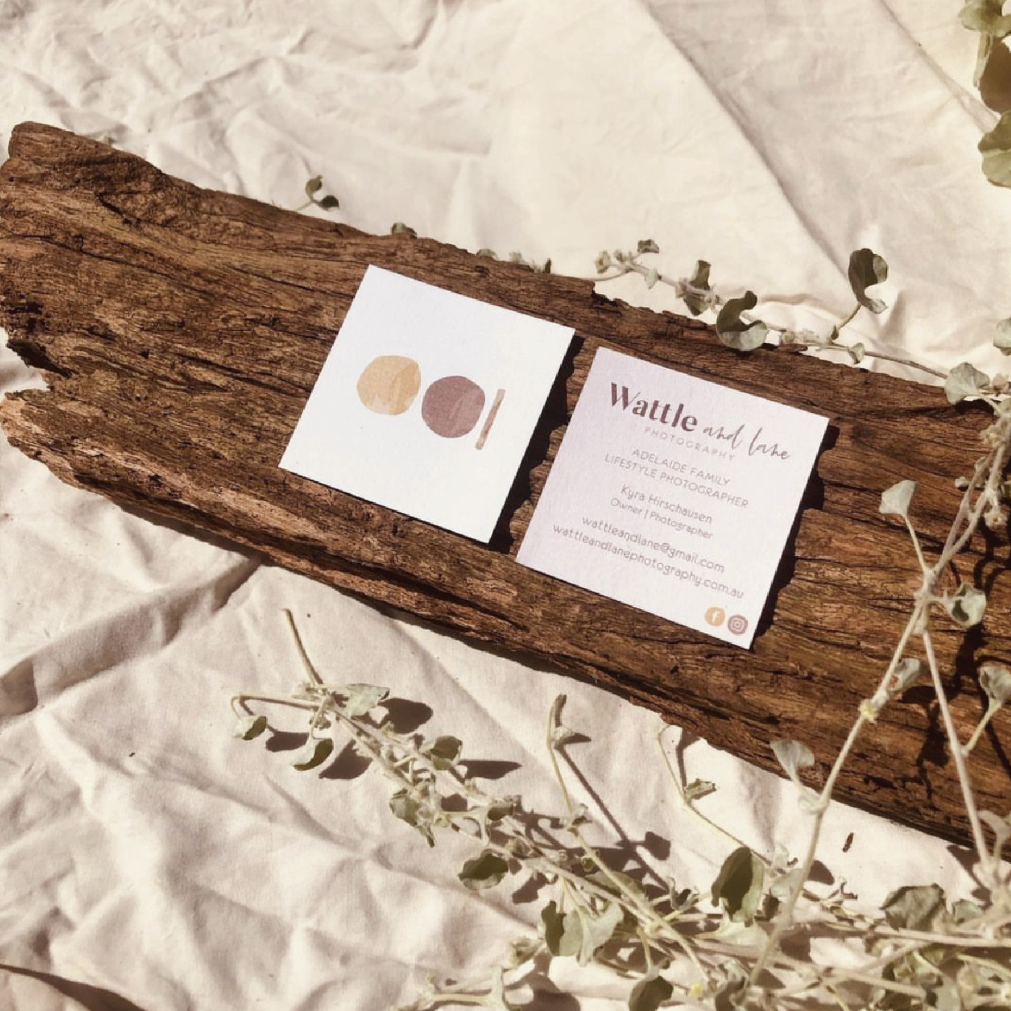 Carousel Web BC-02.png