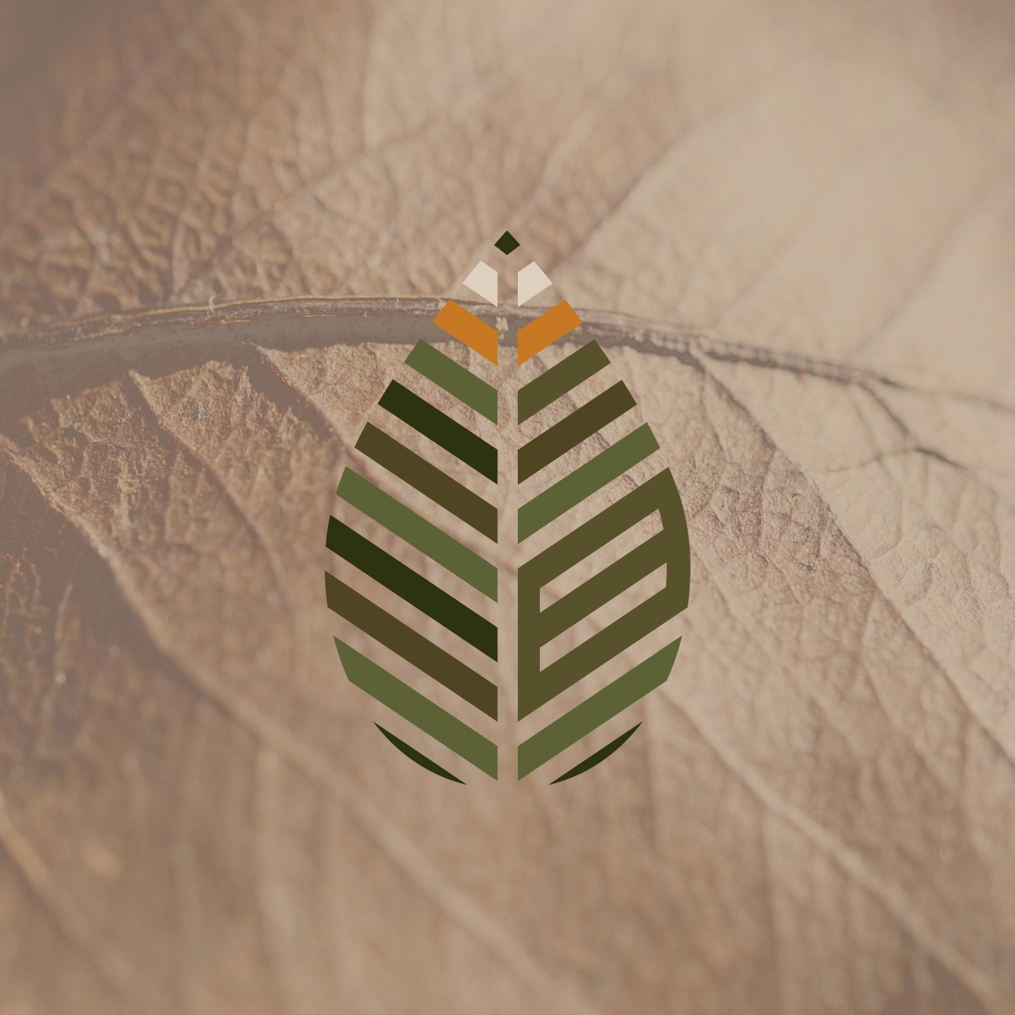 Previous work-08.png