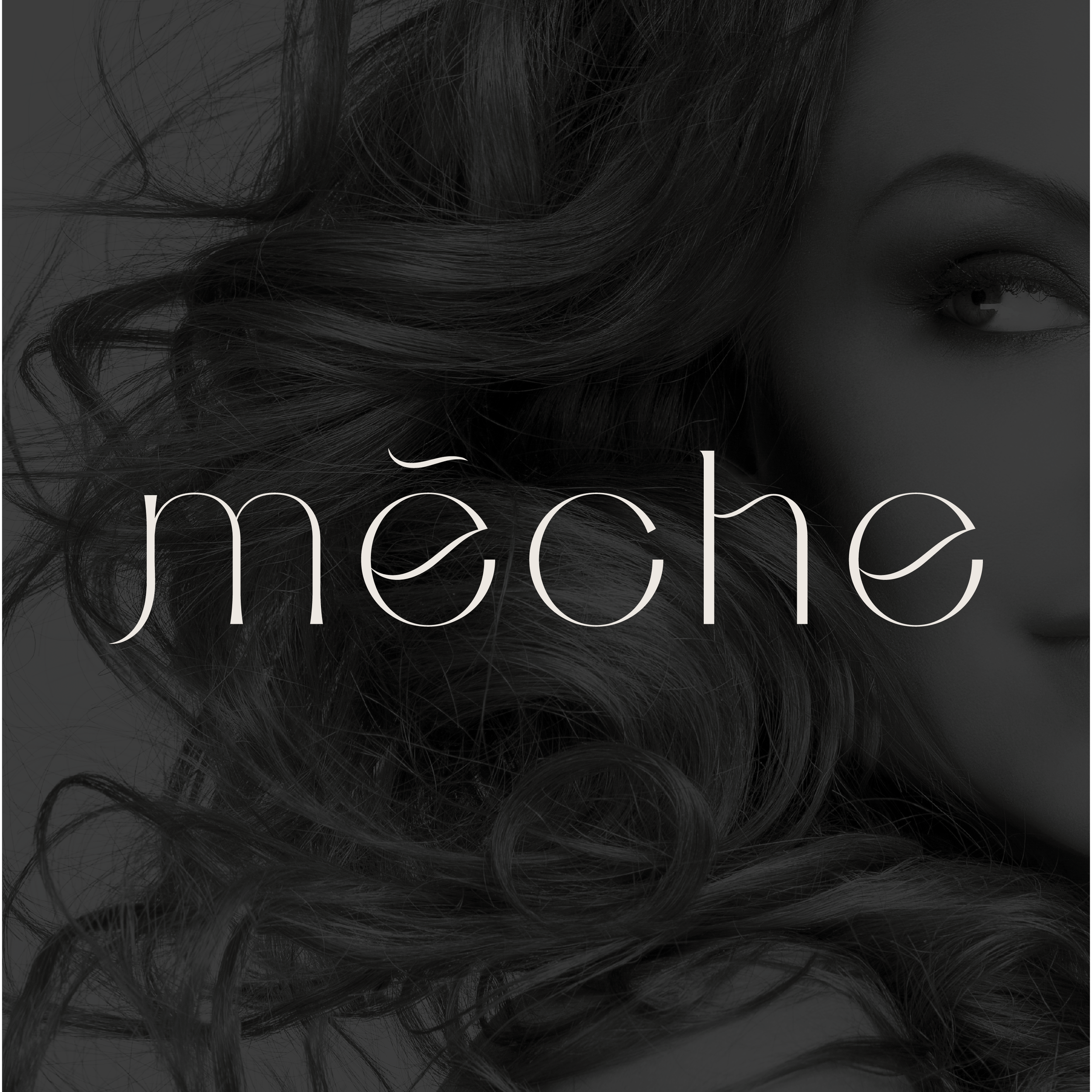 Meche Carousel-01.png