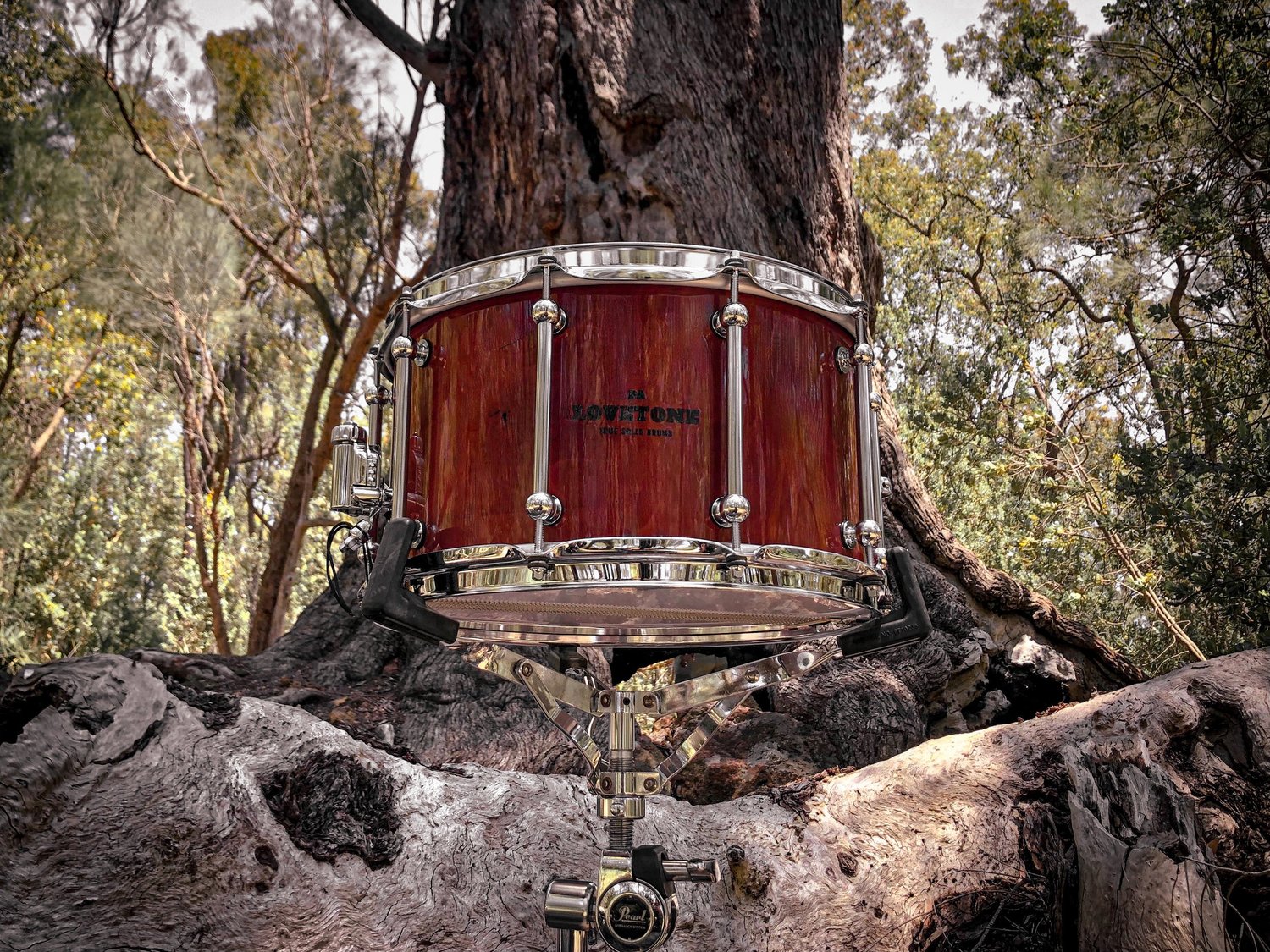 Jarrah