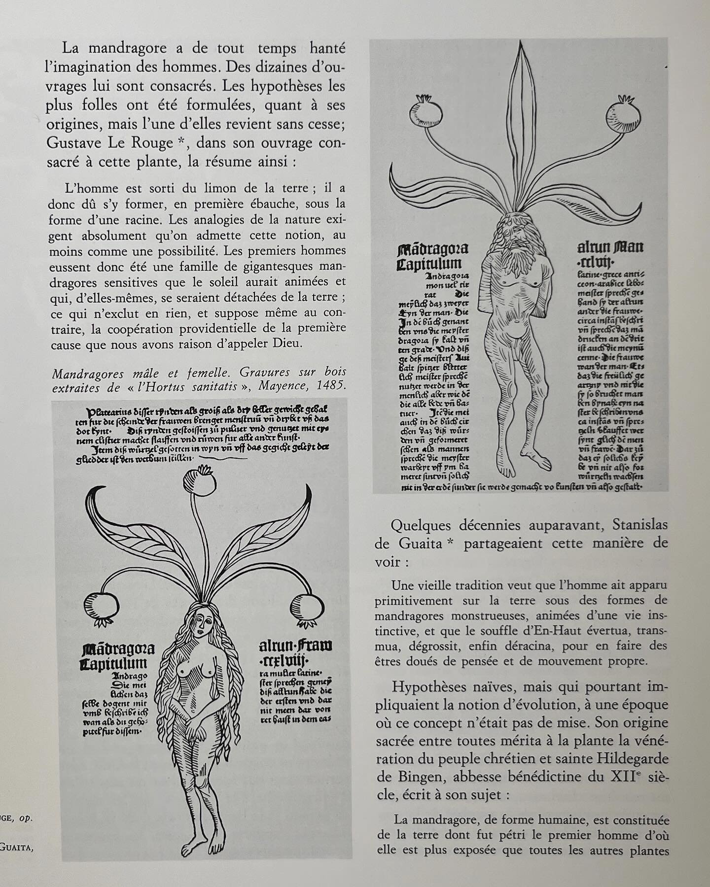 DROGUE: et plantes magique by Jean-Marie Pelt