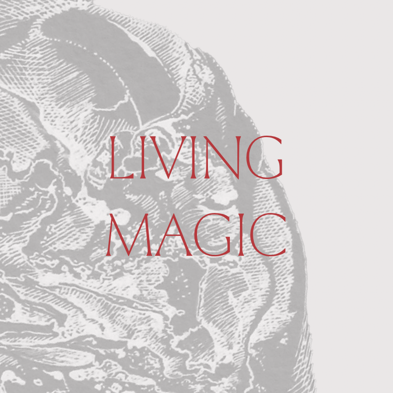 ‘Living Magic: Contemporary Insights and Experiences from Practicing Magicians’ by Frater U∴D∴ et al.