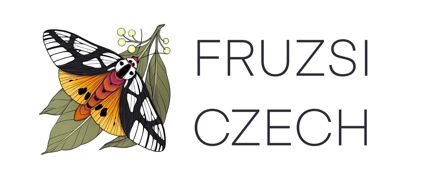 Fruzsina Czech