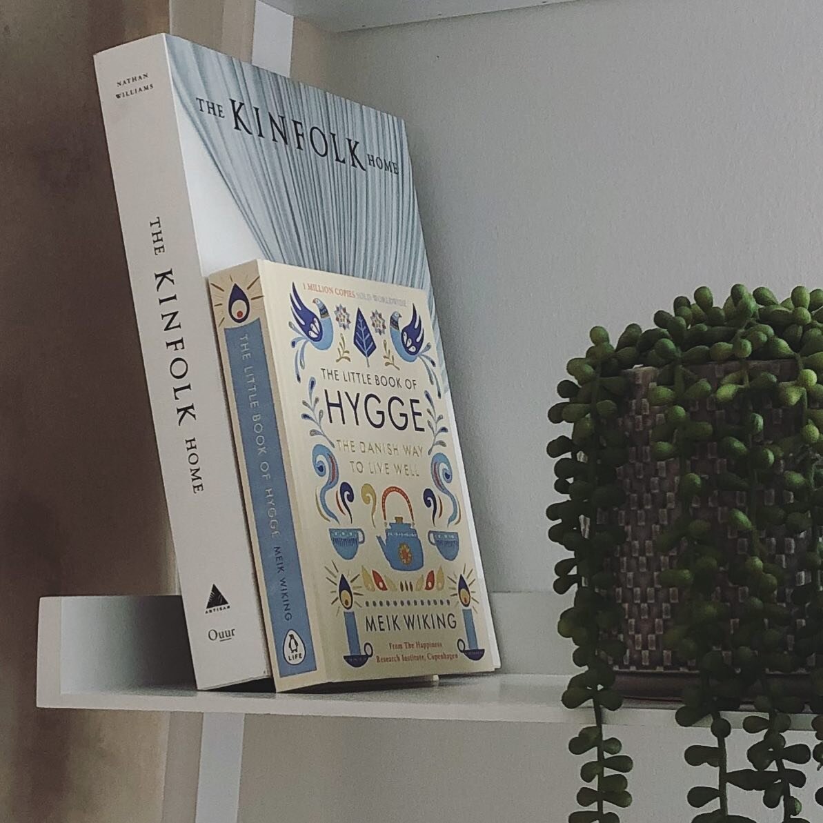 My styling stories edit is now in my highlights! 🙌🏻
Spending this Sunday clearing my phone and my computer of stuff so I can film more content!
.
.
.
#blog #blogger #styling #plants #books #hygge #kinfolk #styling #homedecor #scandi #scandinavianst