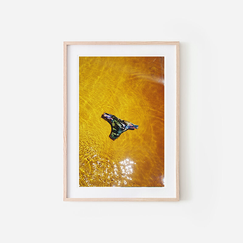 244Swim_IrisDuvekot_2018_WEB-printframes copy.jpg