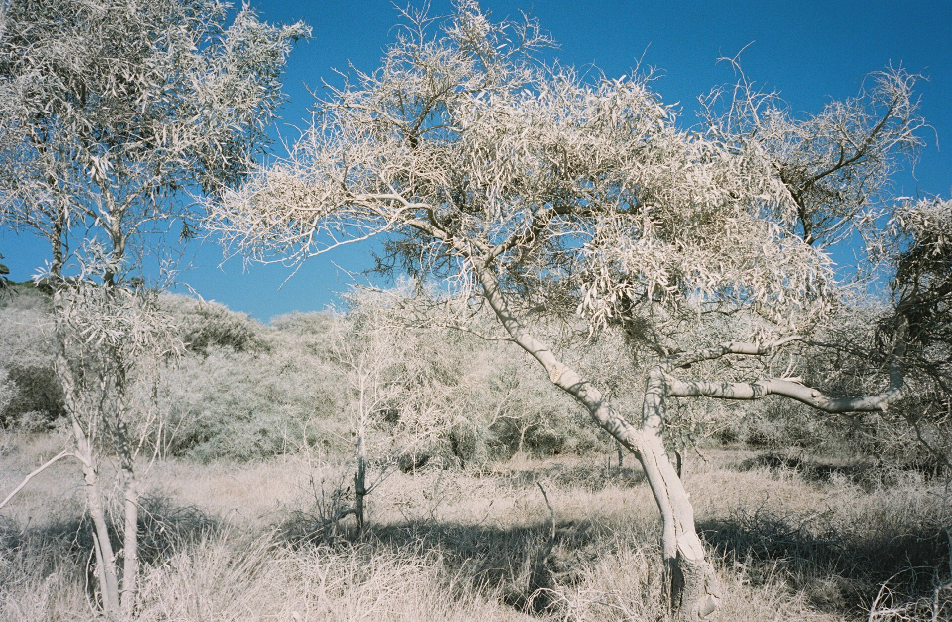2019_13_ 128346_©IrisDuvekot_000020.jpeg