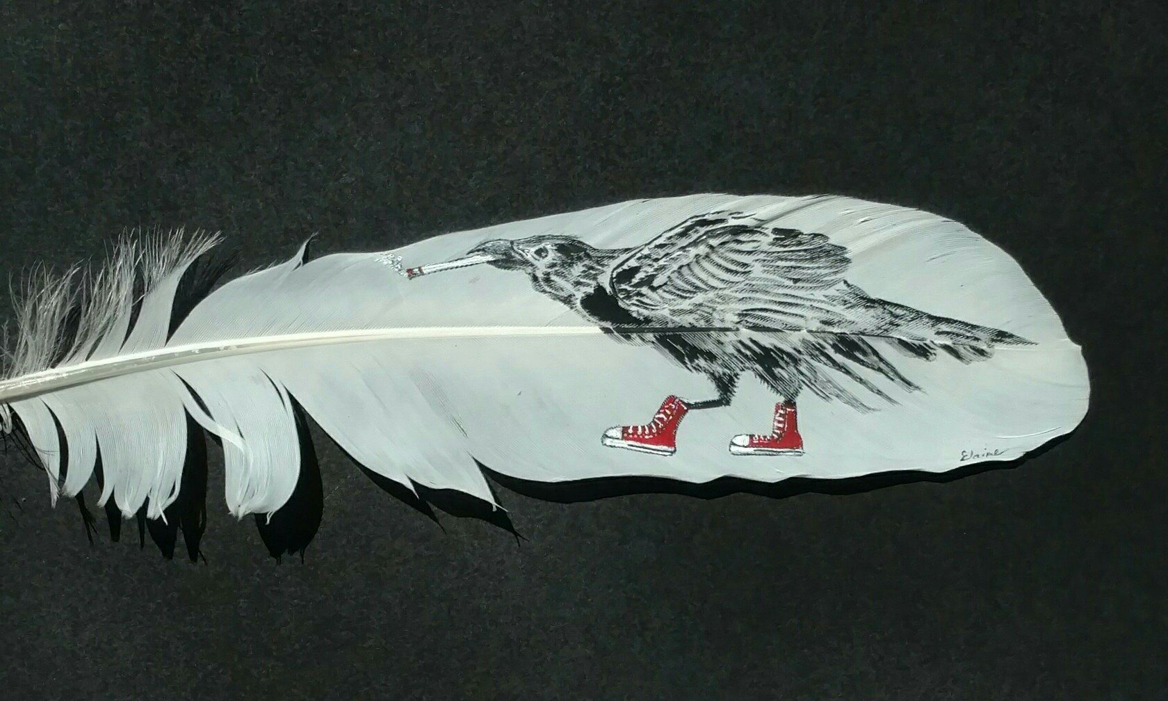 Crow.jpg