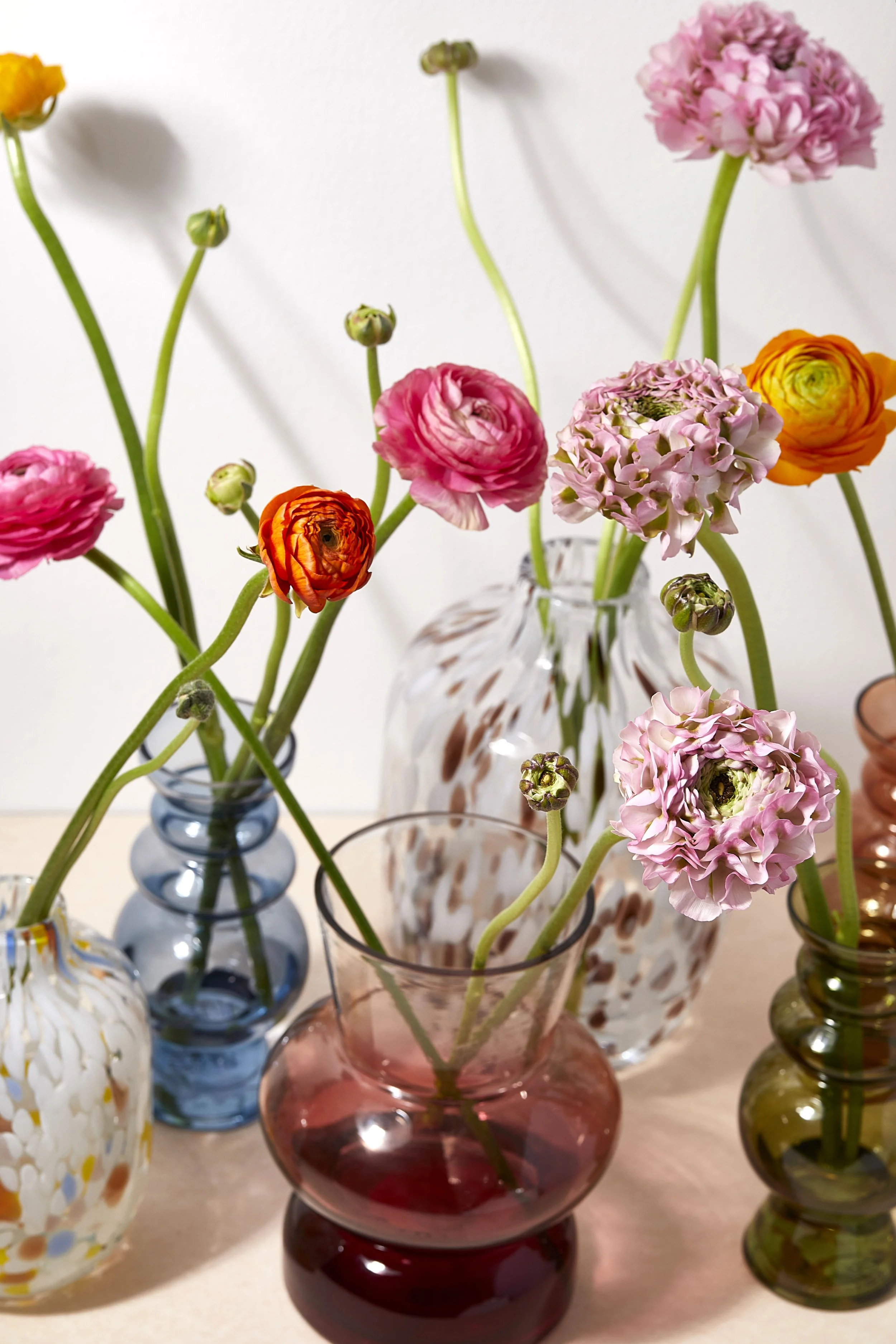 Ranunculus in coloured vases, combination of different vases and different colours still life photograph shot in a studio by victoria cook photography 