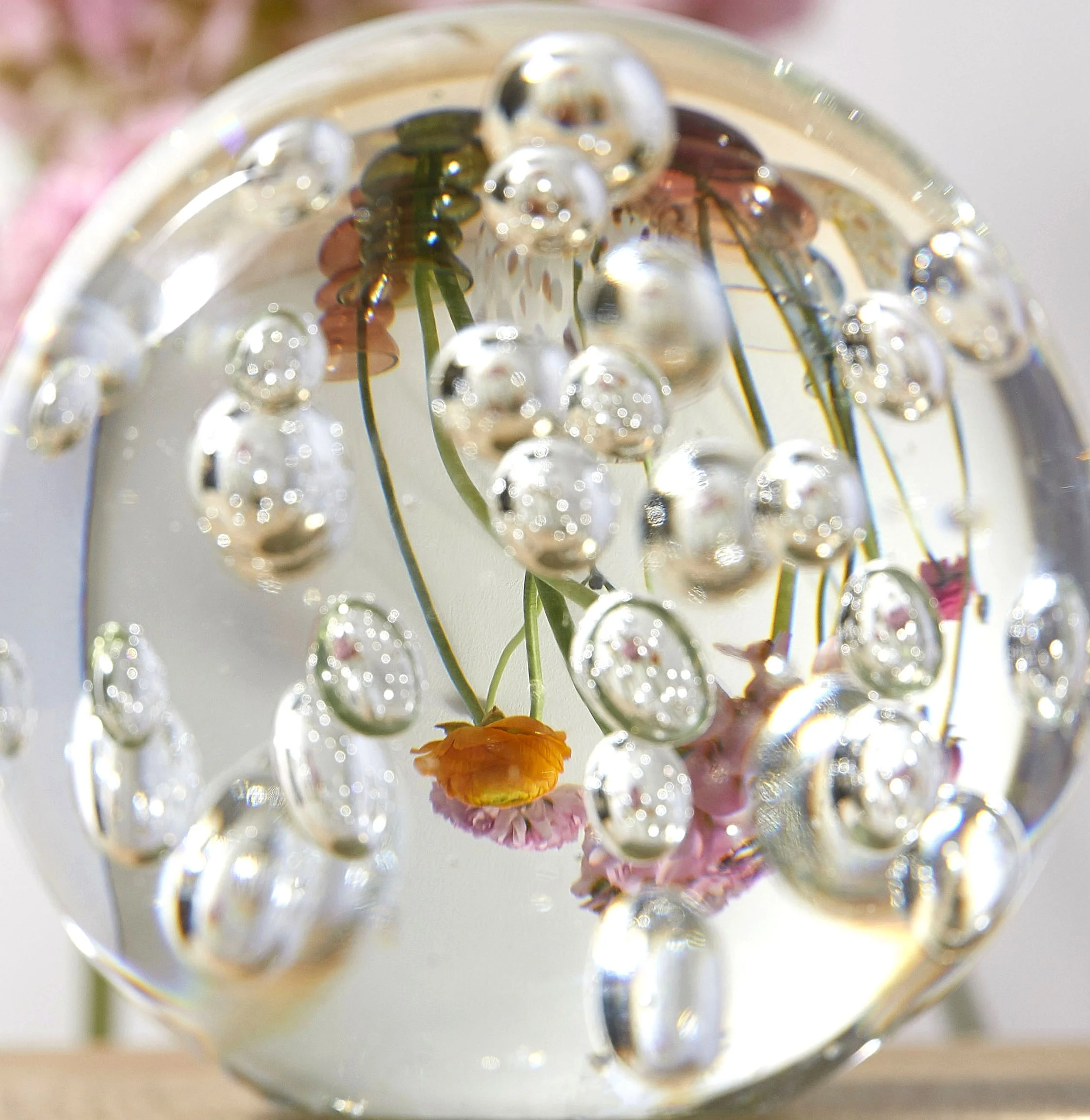 Surreal still life photography using reflections in blown glass, looking at distorted flowers in vases, studio still life photography by victoria cook photography 