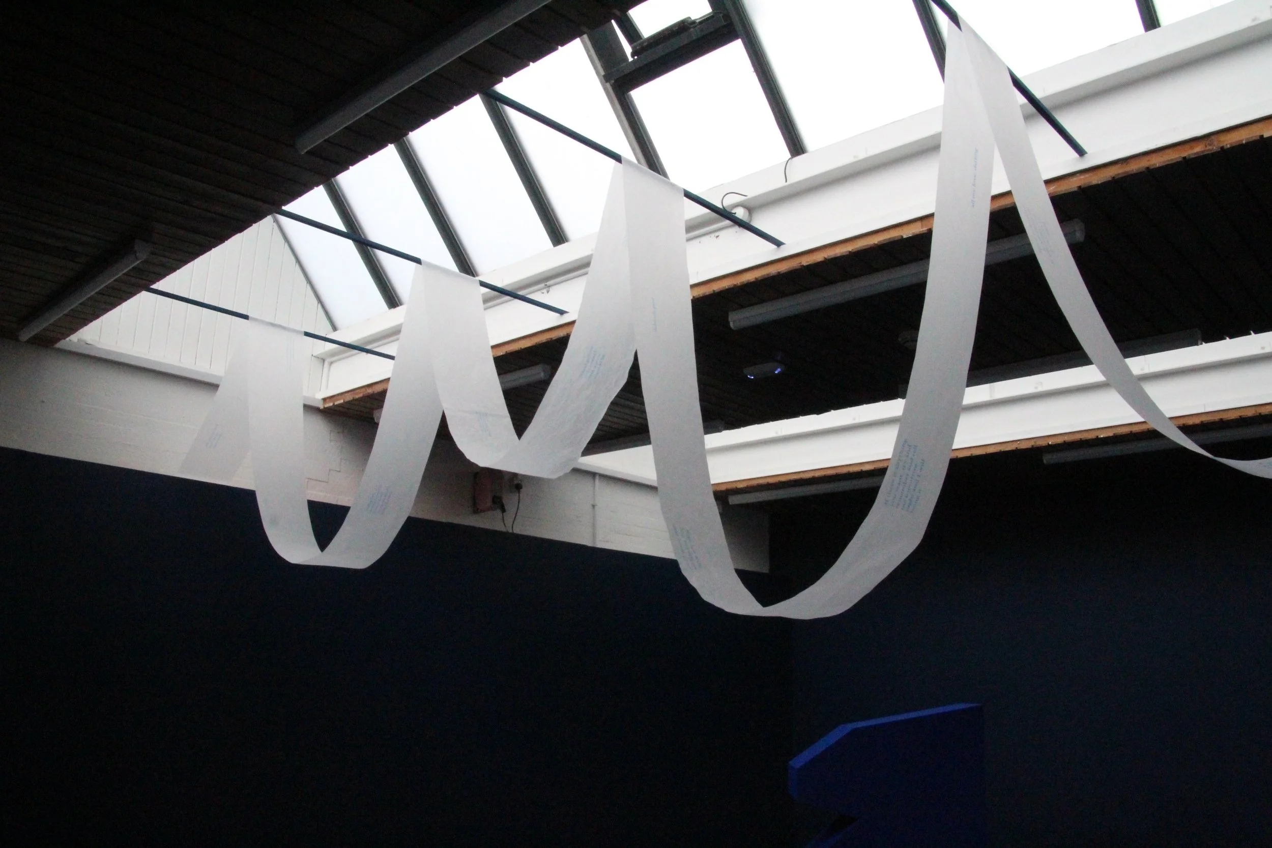 IMG_3227 - lauren.jpeg