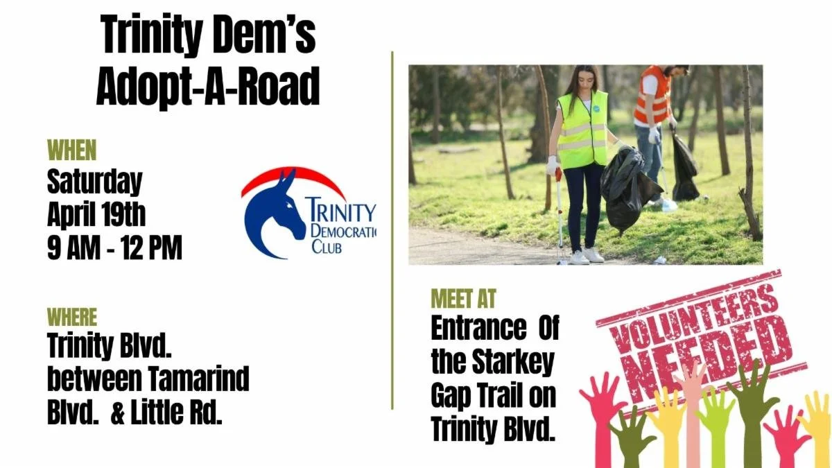 Trinity Dems Adopt-A-Road Clean Up