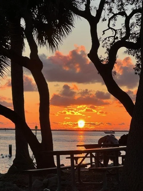 Pasco Democratic Environmental Caucus