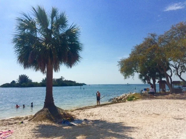 Pasco Democratic Environmental Caucus