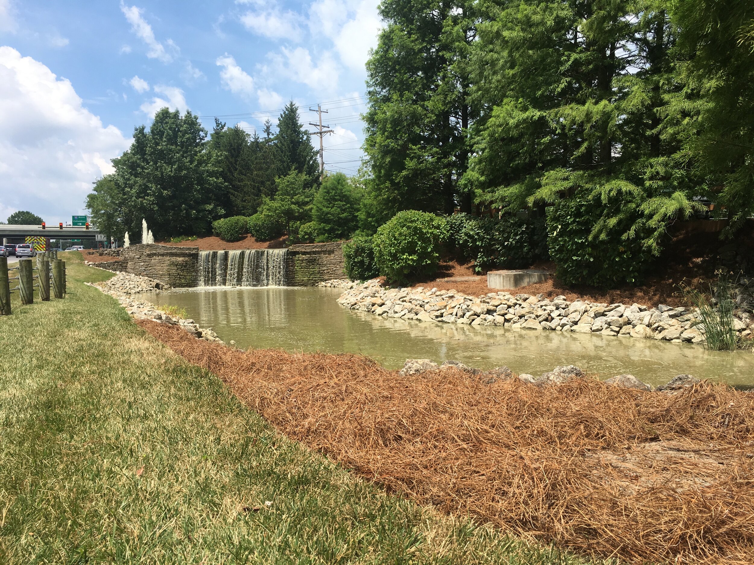 Long Leaf Pine Needles Delivered & Spread - Pine Needle Store