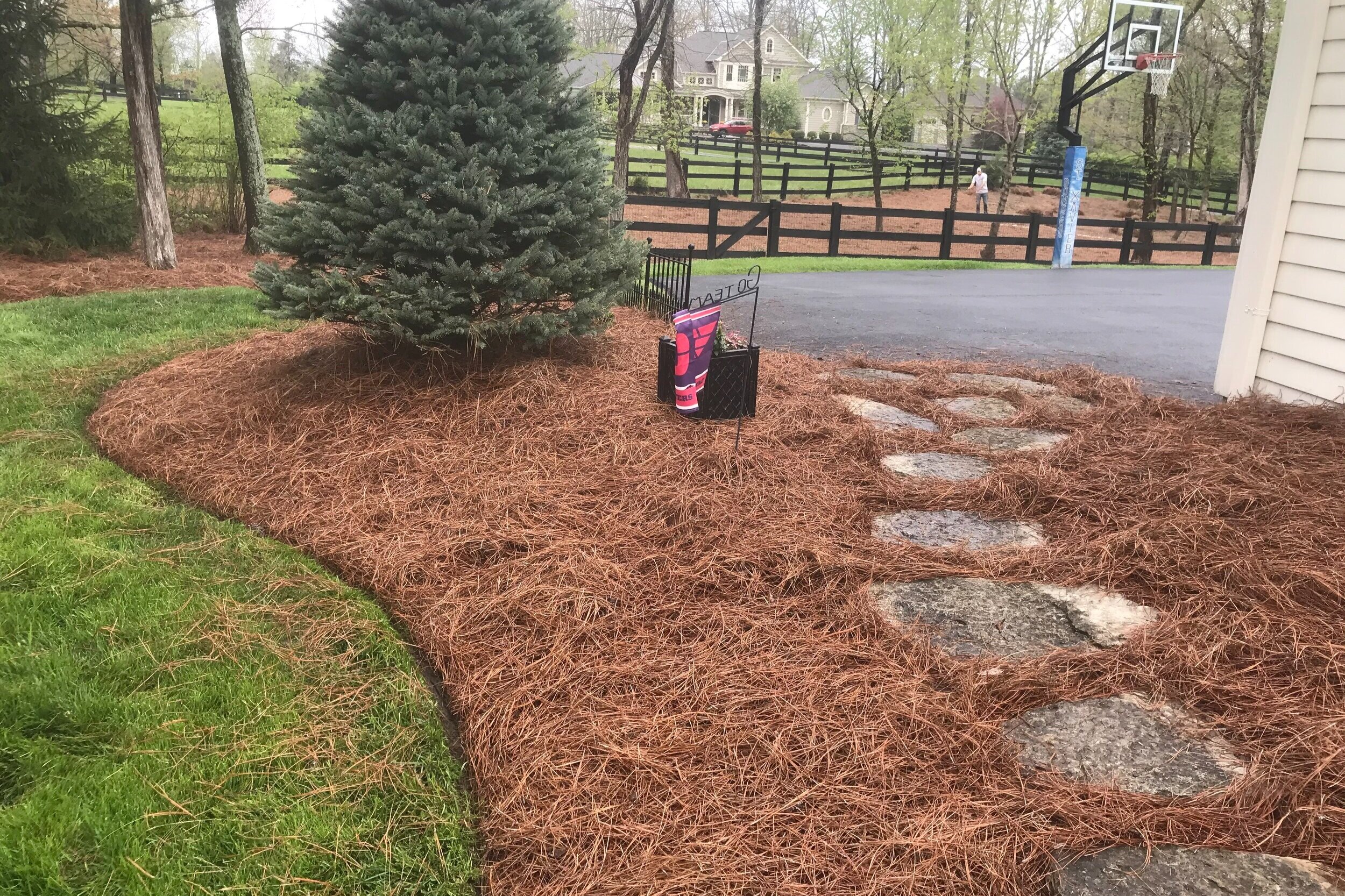 Image of Pine straw mulch for landscaping