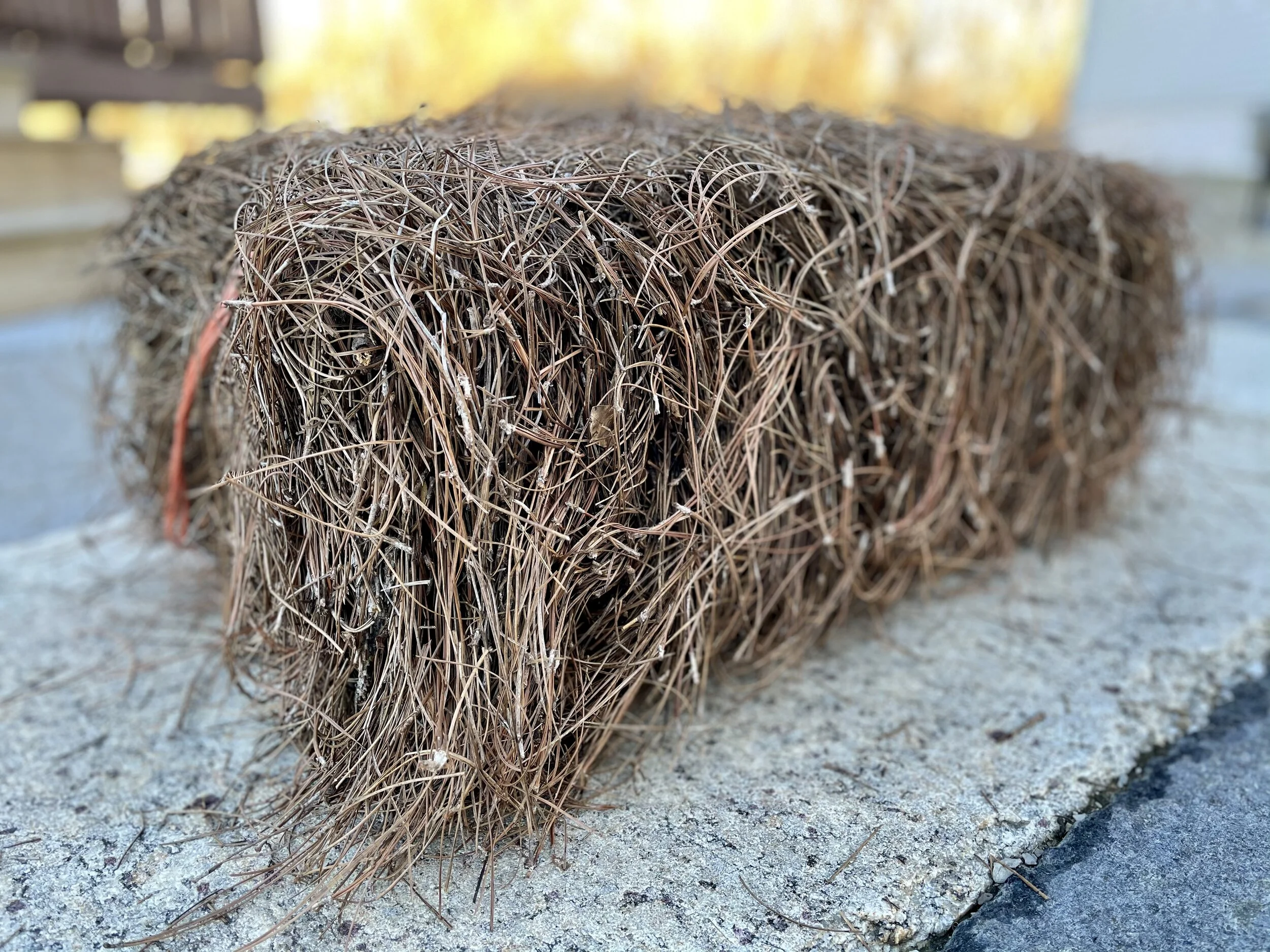 Slash Pine Straw Mulch — (Cincinnati Pine Mulch LLC)